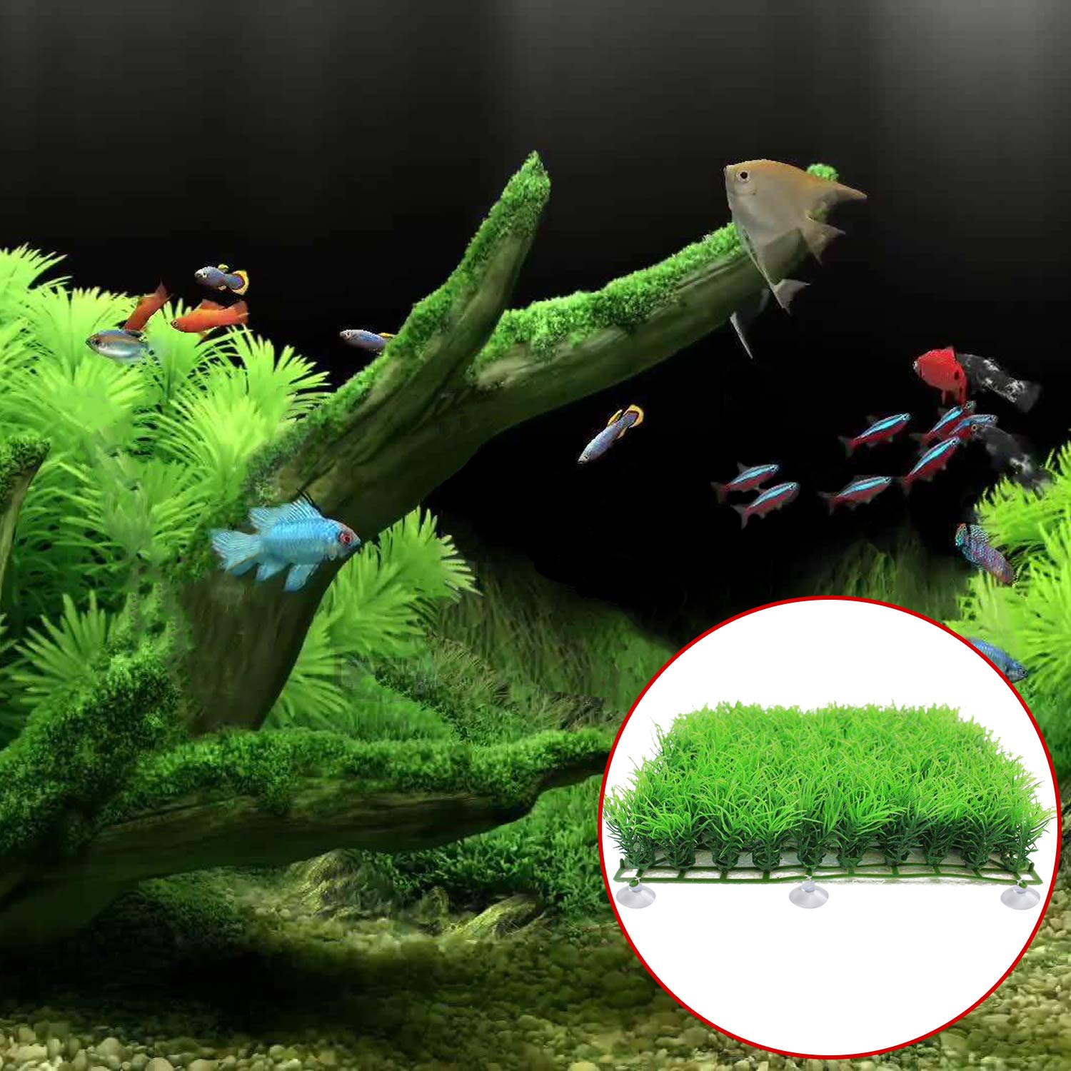Febsnow Aquarium Suction Cups, Fish Tank Suction Cups Aquarium Suction Cup Clip Suction Hooks With 30 Pcs Adjustable Cable Ties For Plants, Planter, Binding Moss Shrimp Nest (20)