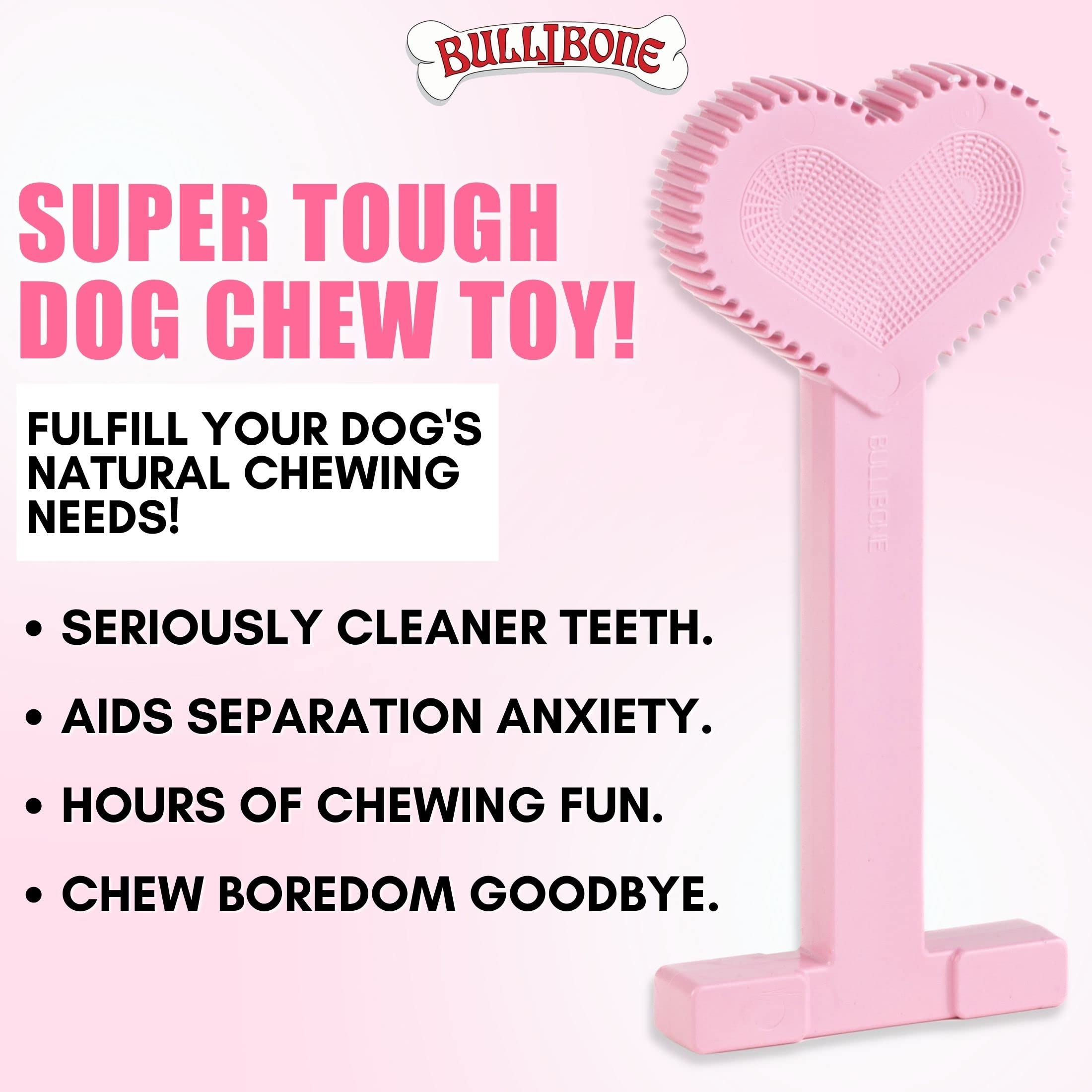 Bullibone Nylon Dog Chew Toy - Improves Dental Hygiene, Small Size, Peppermint Flavor