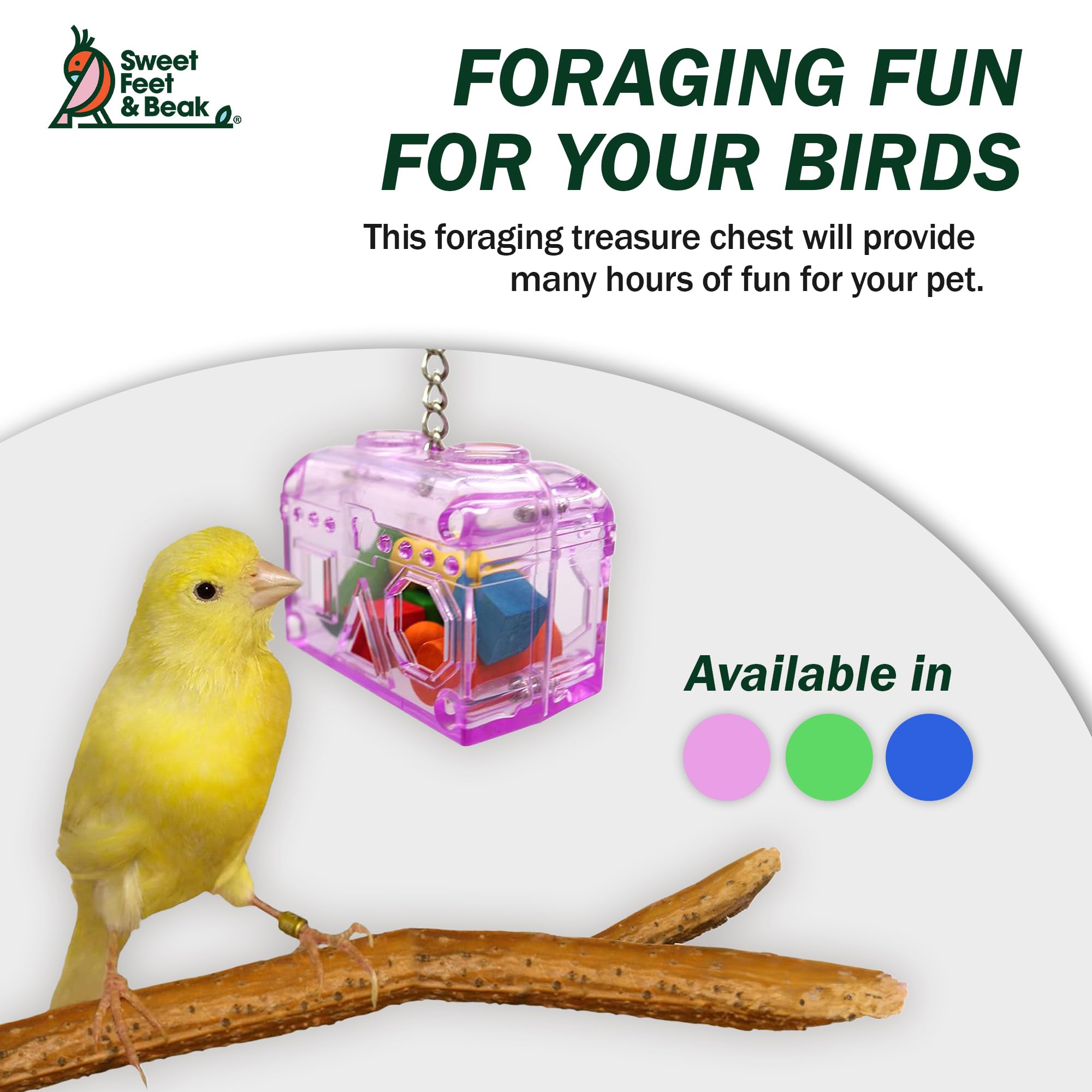 Sweet Feet and Beak Large or Small Treasure Chest - Perfect Bird Cage Toy Colorful, Safe, Easy to Install - Washable, Refillable