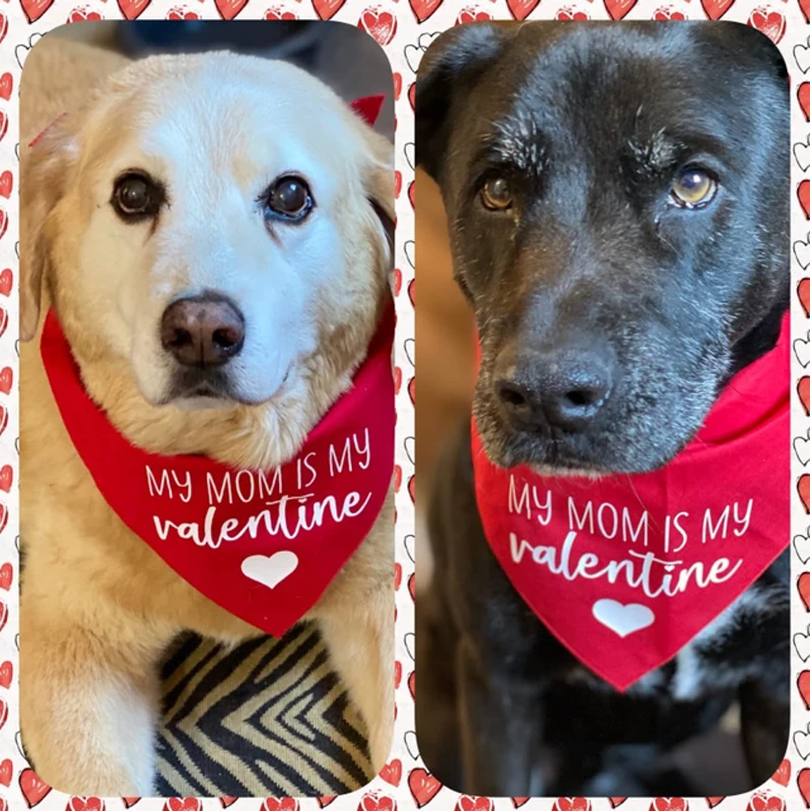 Valentines Day Dog Bandanas - My Mom Is My Valentine Dog Scarf - 2 Pcs Adjustable Party Triangle Reversible Pet Bandanas For Small Medium Large Dogs