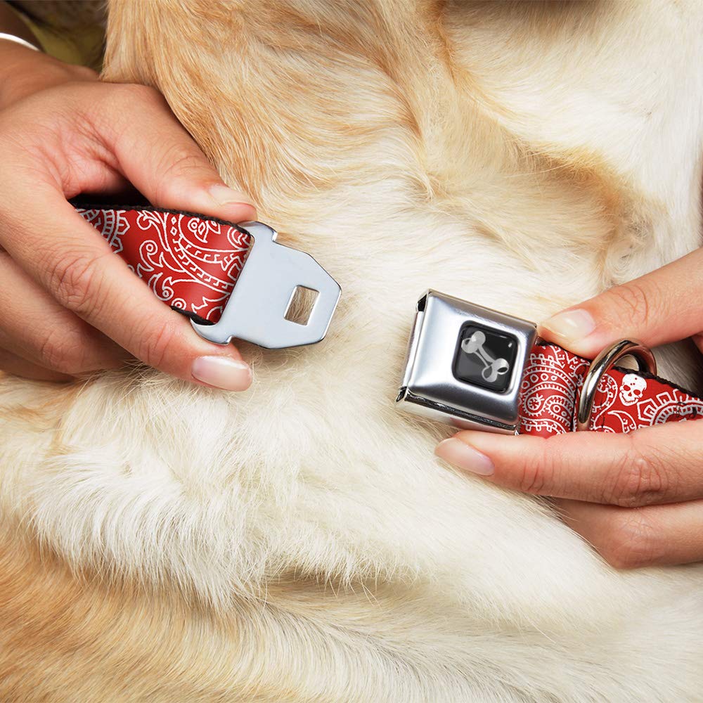 Buckle-Down Seatbelt Buckle Dog Collar - Bandana/Skulls Red/White - 1.5' Wide - Fits 18-32' Neck - Large
