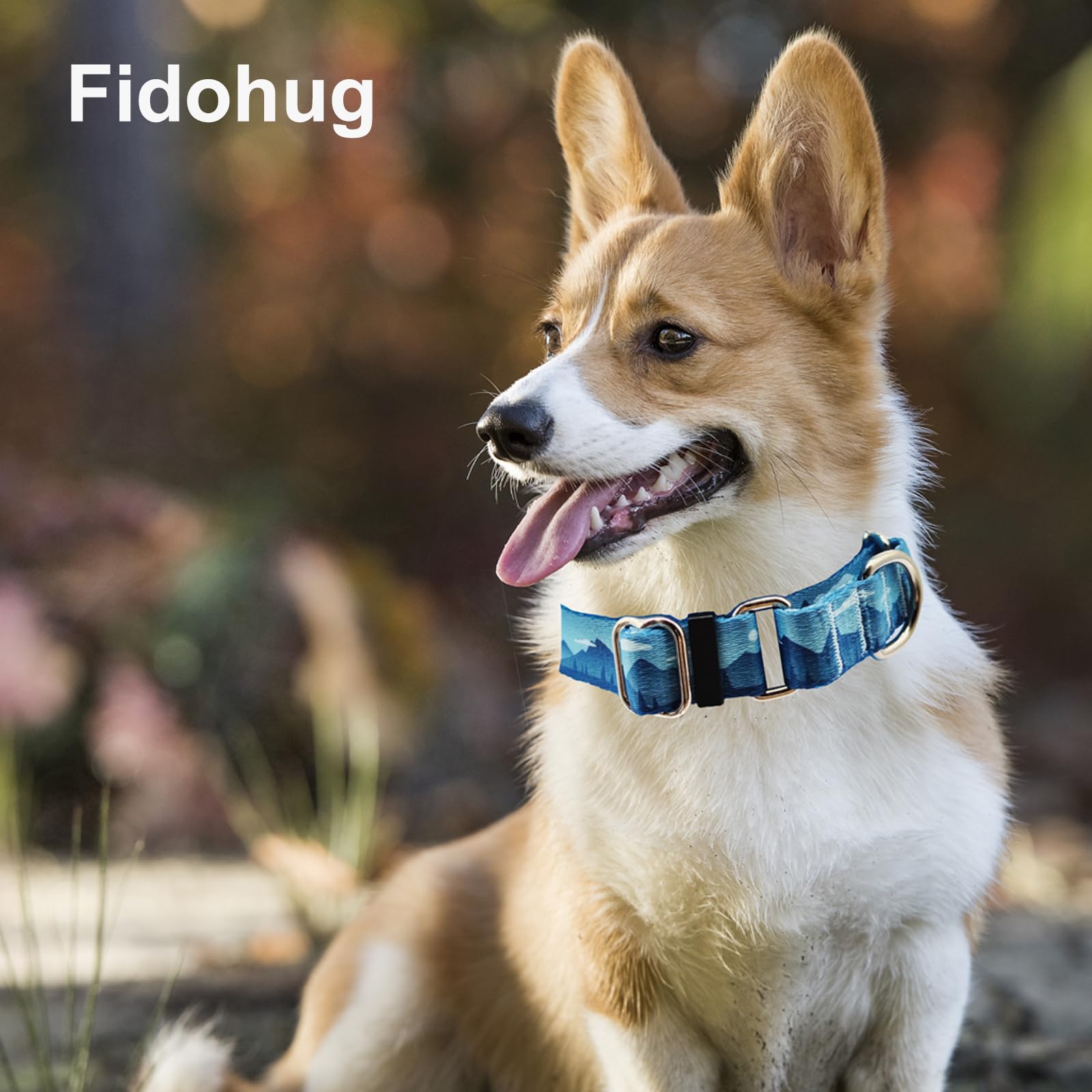 Fidohug Martingale Collar For Dogs With Buckle Dog Collar Adjustable Soft Nylon Boy Dog Collars For Puppy Dogs, Blue Sunset