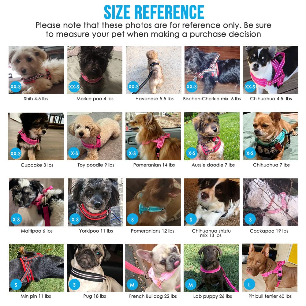 Lukovee Dog Harness And Leash Set, Soft Padded Adjustable Reflective Vest With 4Ft Lightweight Anti-Twist Leash For Small Dogs (