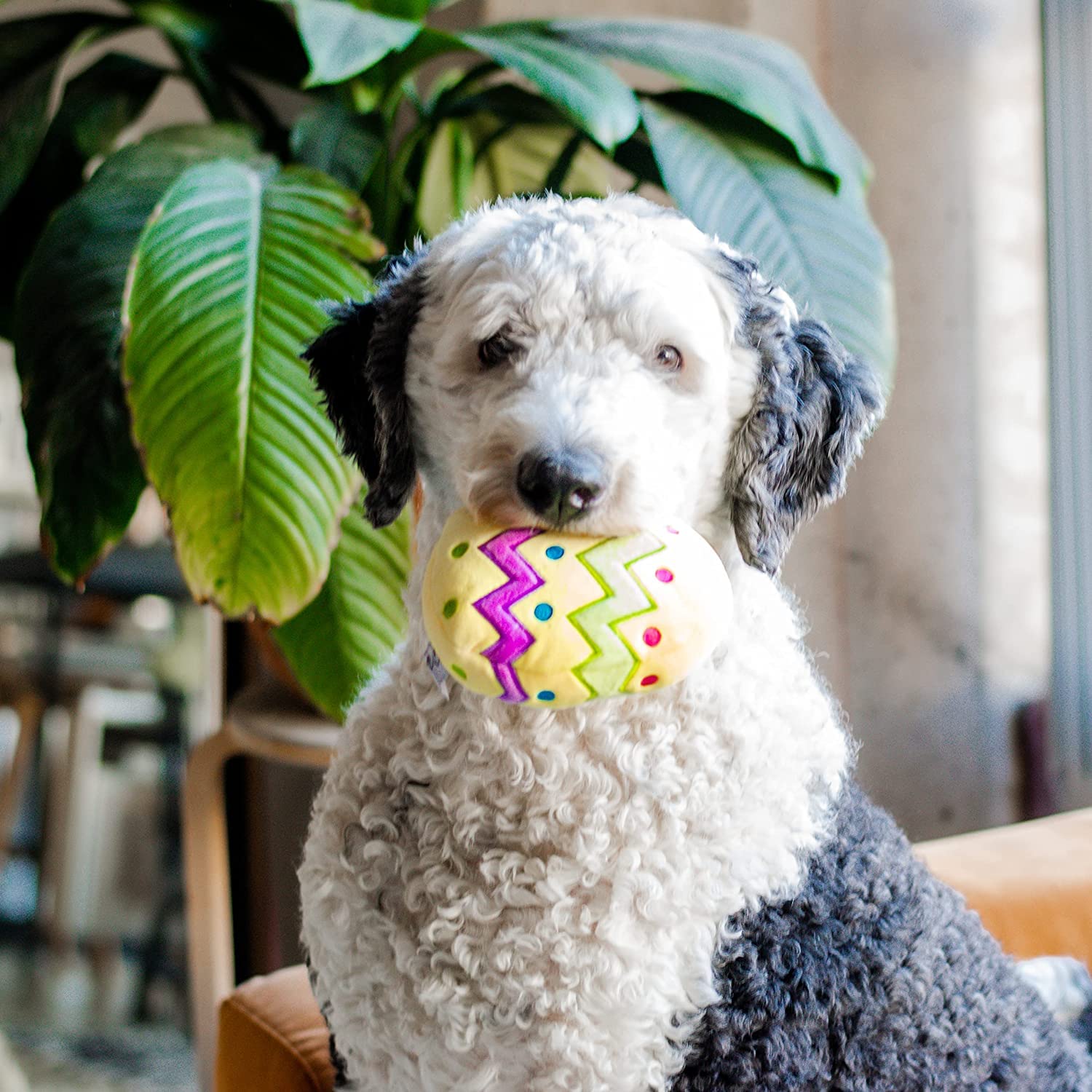 Midlee Plush Easter Egg Dog Toy With Squeaker (Yellow)-Large
