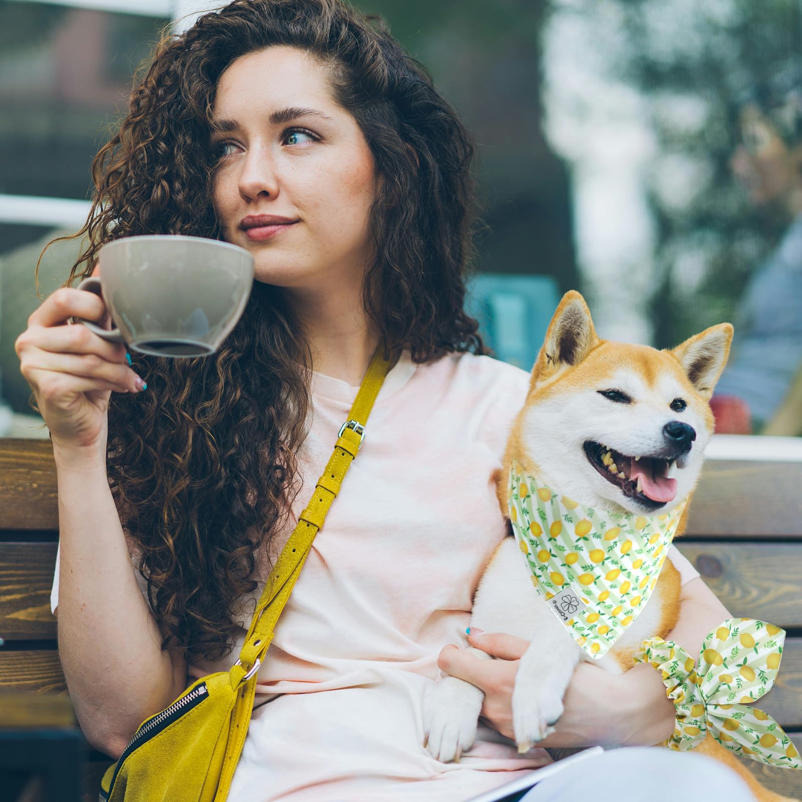 E-Clover Summer Lemon Dog Bandanas & Matching Scrunchie Set Green Stripe Dog Scarf Bibs Pet Bandana With Bow Tie For Small Dogs