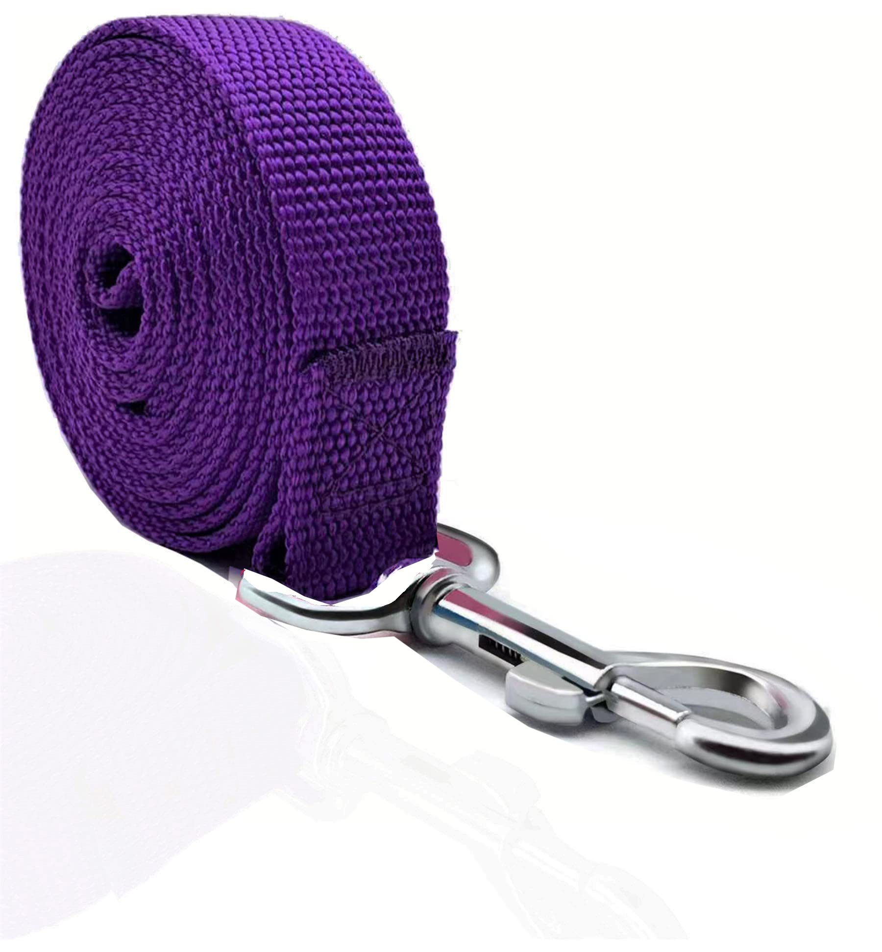 Taian 4Ft/5Ft/6Ft Strong Dog Leash, Nylon Dog Leashes For Small Medium Large Dogs (Purple, 1 In X 10 Ft)