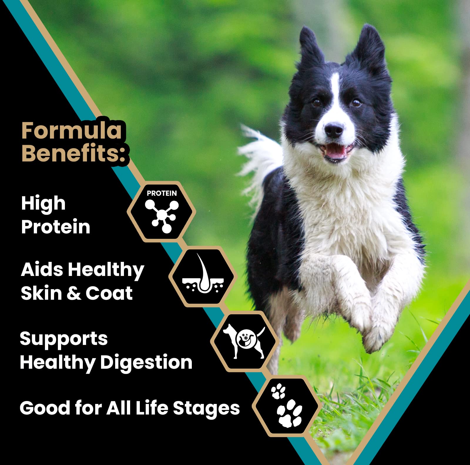 Victor Super Premium Dog Food - Hi-Pro Plus Dry Kibble - High Protein Dog Food with 30% Protein - Beef, Chicken, Pork, Fish Meal