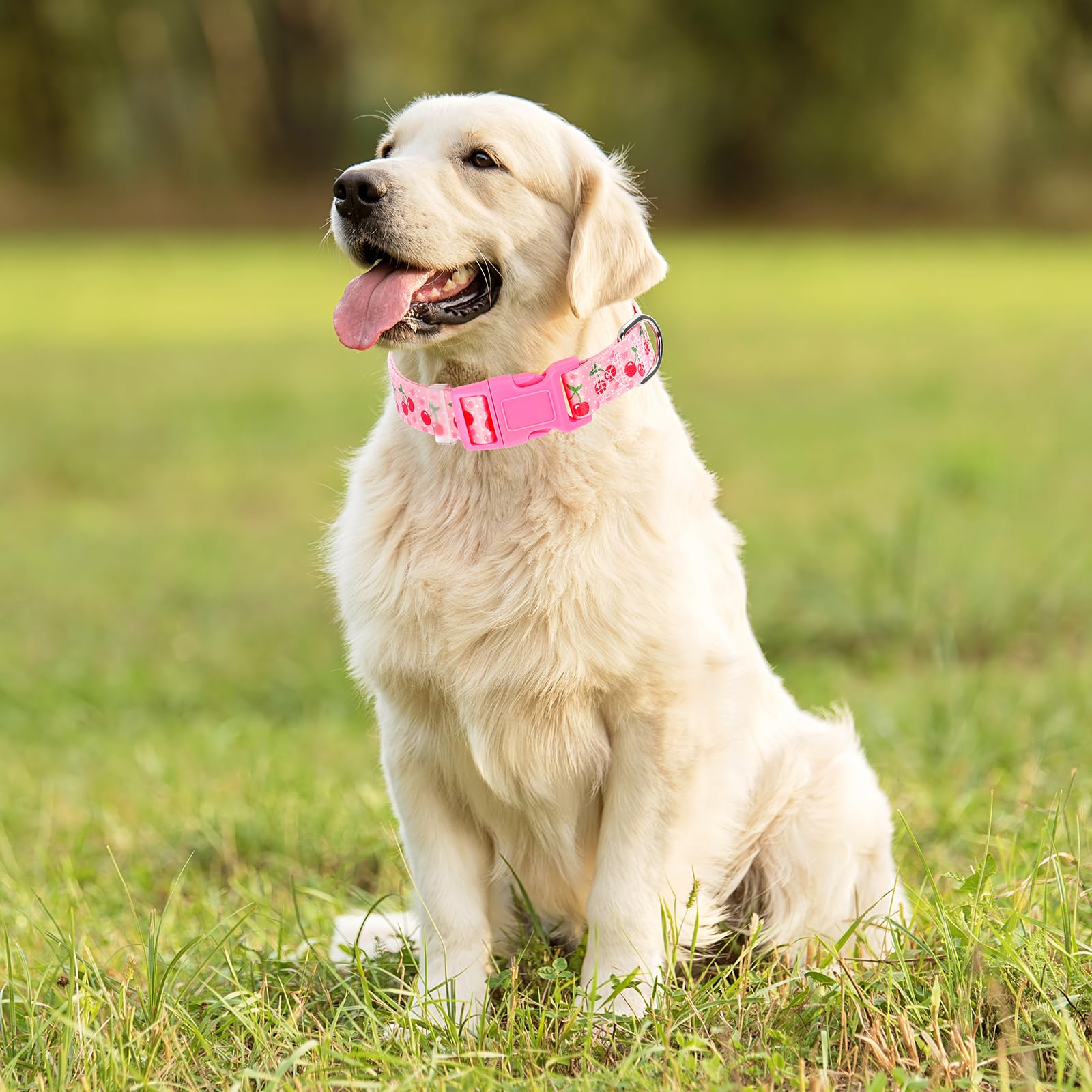 Cute Large Dog Collar With Pink Cherry Patterns,Adjustable Comfy Soft Durable For Small Medium Large Xl Pet Boy And Girl Dogs (C