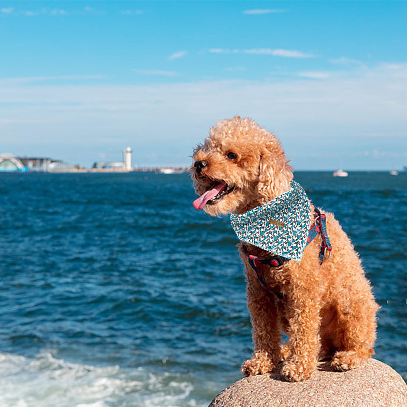 Elegant Little Tail Dog Bandanas - 1 Pack Shark Print Washable Summer Dog Scarf Square Bandana Kerchief Scarf For Small To Large