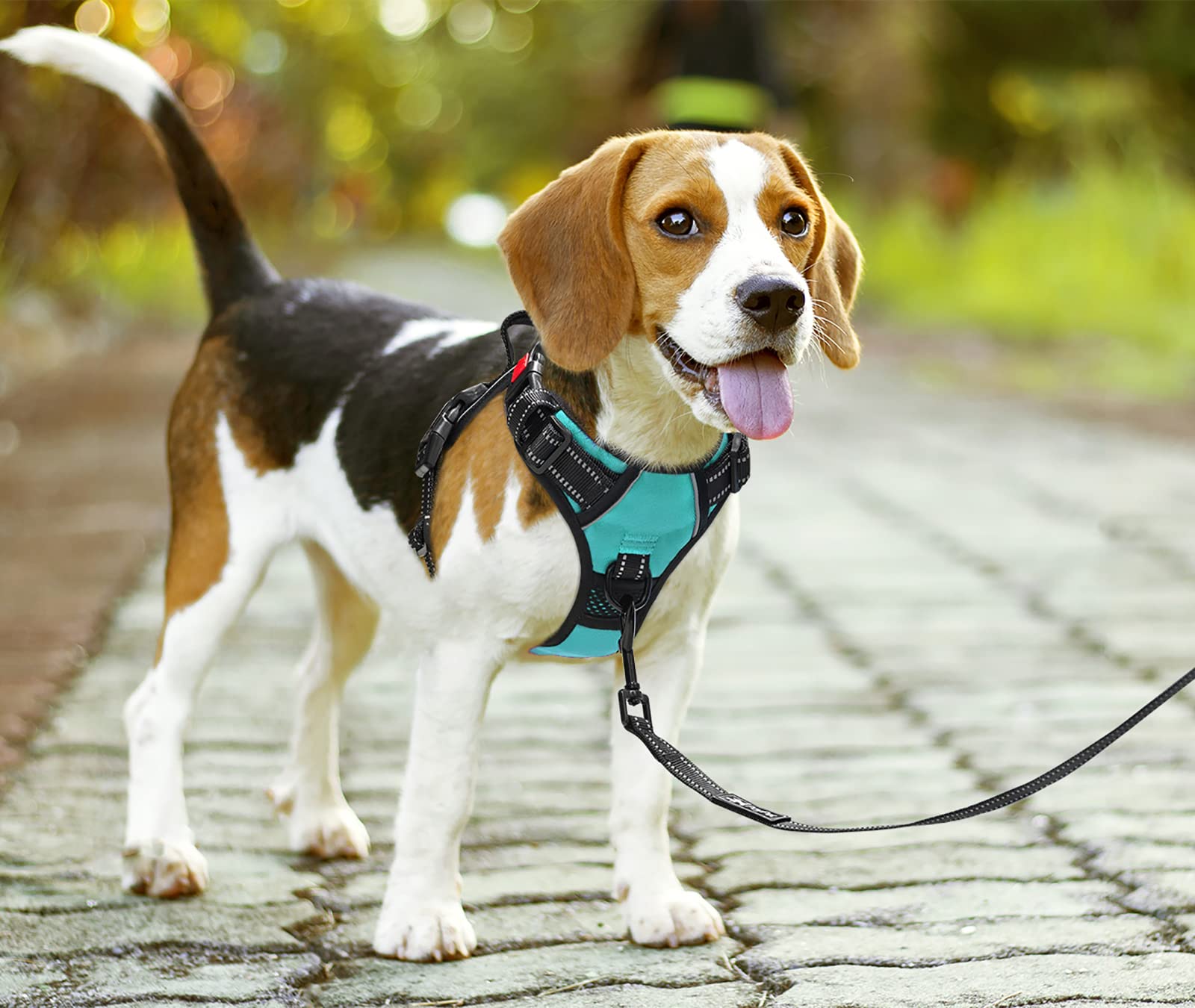 Poypet No Pull Dog Harness, No Choke Front Clip Dog Reflective Harness, Adjustable Soft Padded Pet Vest With Easy Control Handle For Small To Large Dogs(Mint Blue,M)