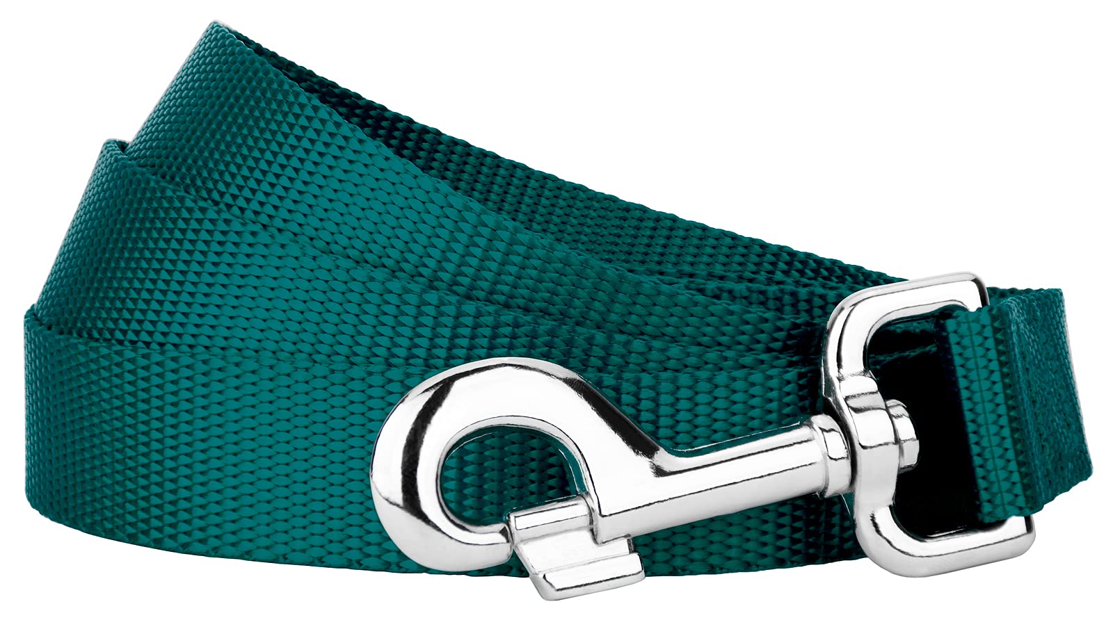 Country Brook Petz - 1 Inch Solid Color Nylon Dog Leash - Durable Clip - Soft Handle (1 Inch Wide, 6 Foot, Teal)
