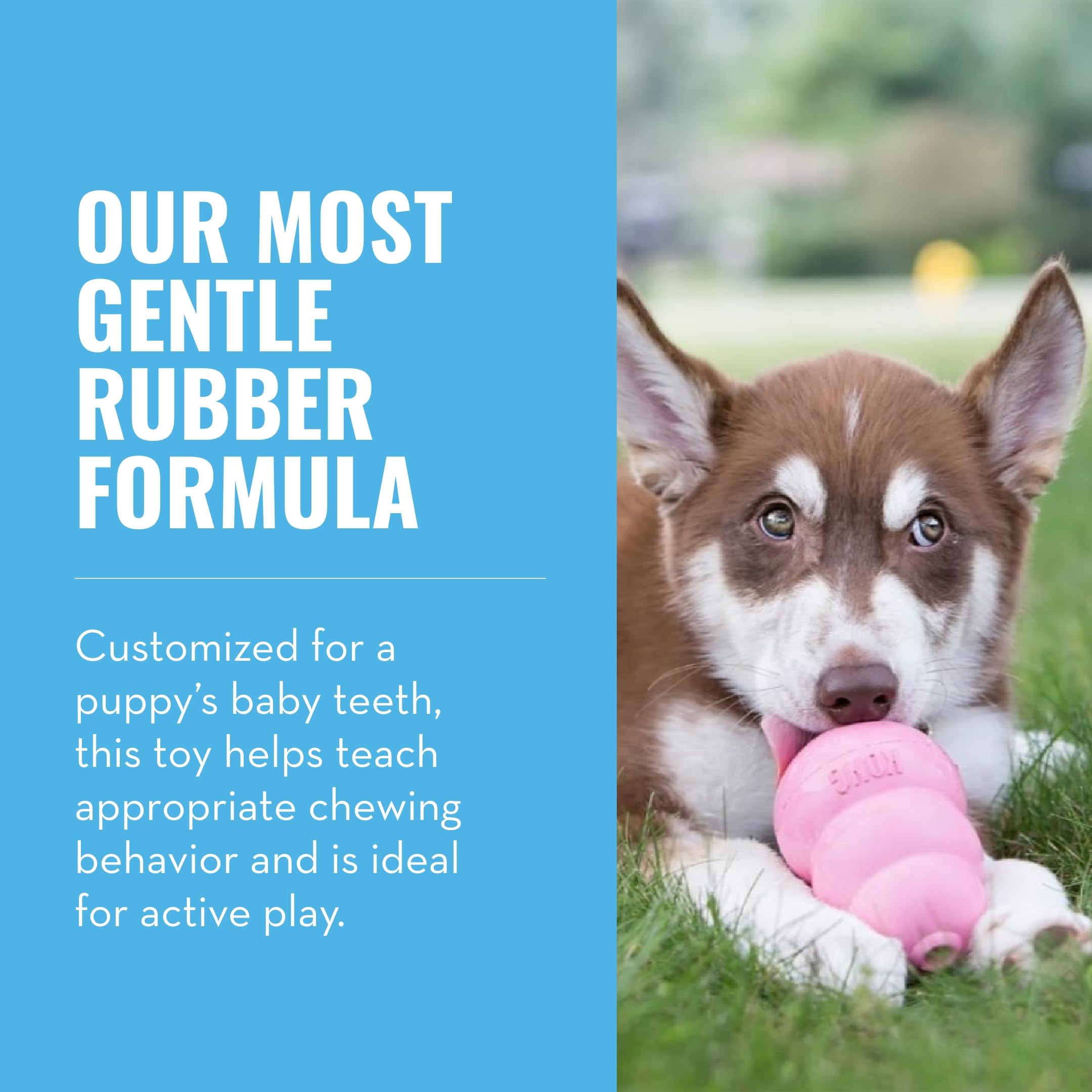 Kong - Puppy Toy Natural Teething Rubber - Fun To Chew, Chase And Fetch - For Medium Puppies - Pink