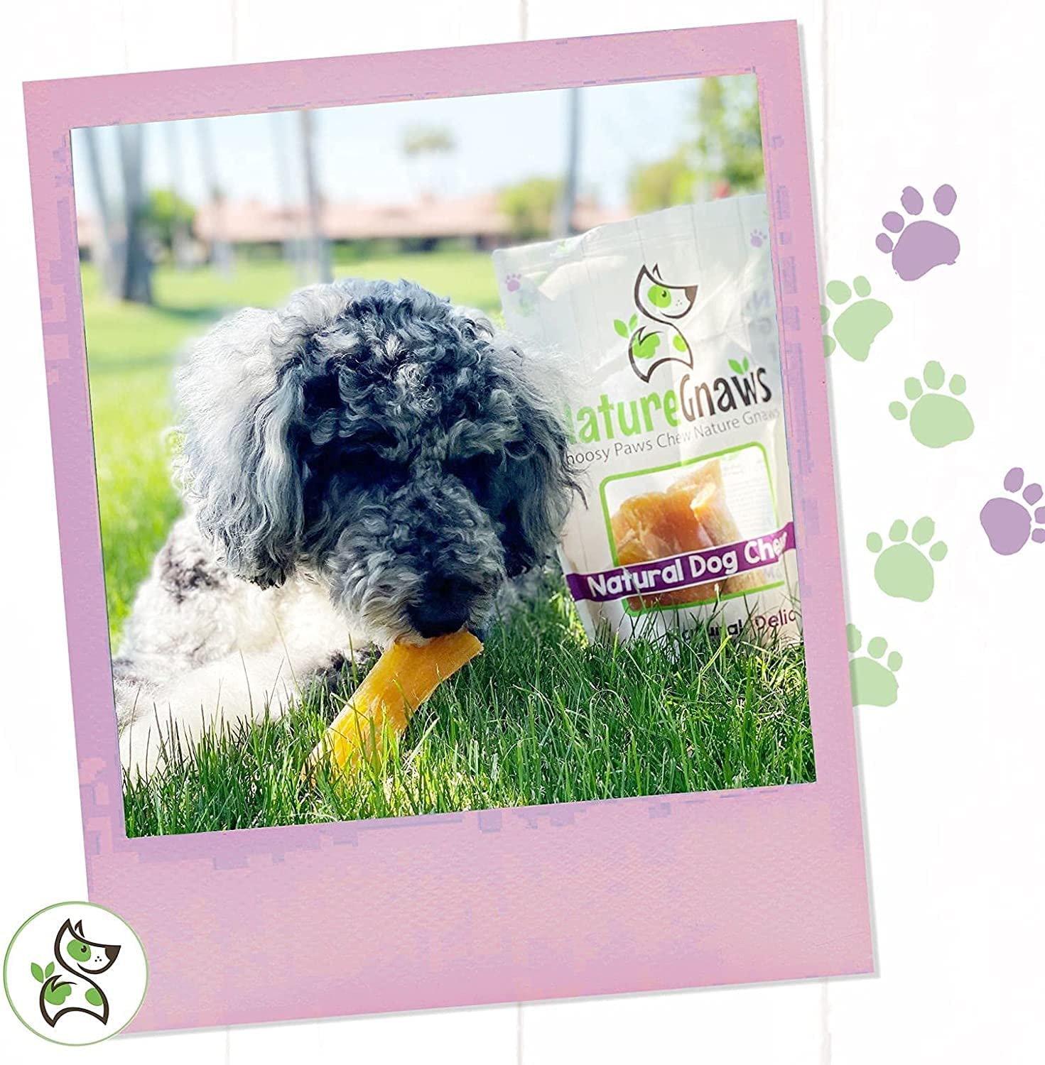Nature Gnaws Beef Paddywack Tendons for Dogs 5-6 (10 Count) - Long Lasting for Aggressive Chewers - Natural Beef Dog Chew Bones