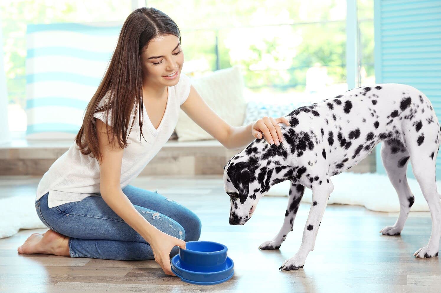 PetLike Ants Away Dog Bowls Pet Food Bowls, No Spill Cat Food Bowl Water Food Feeder Pet Dishes for Cat Puppies Small Medium Dog