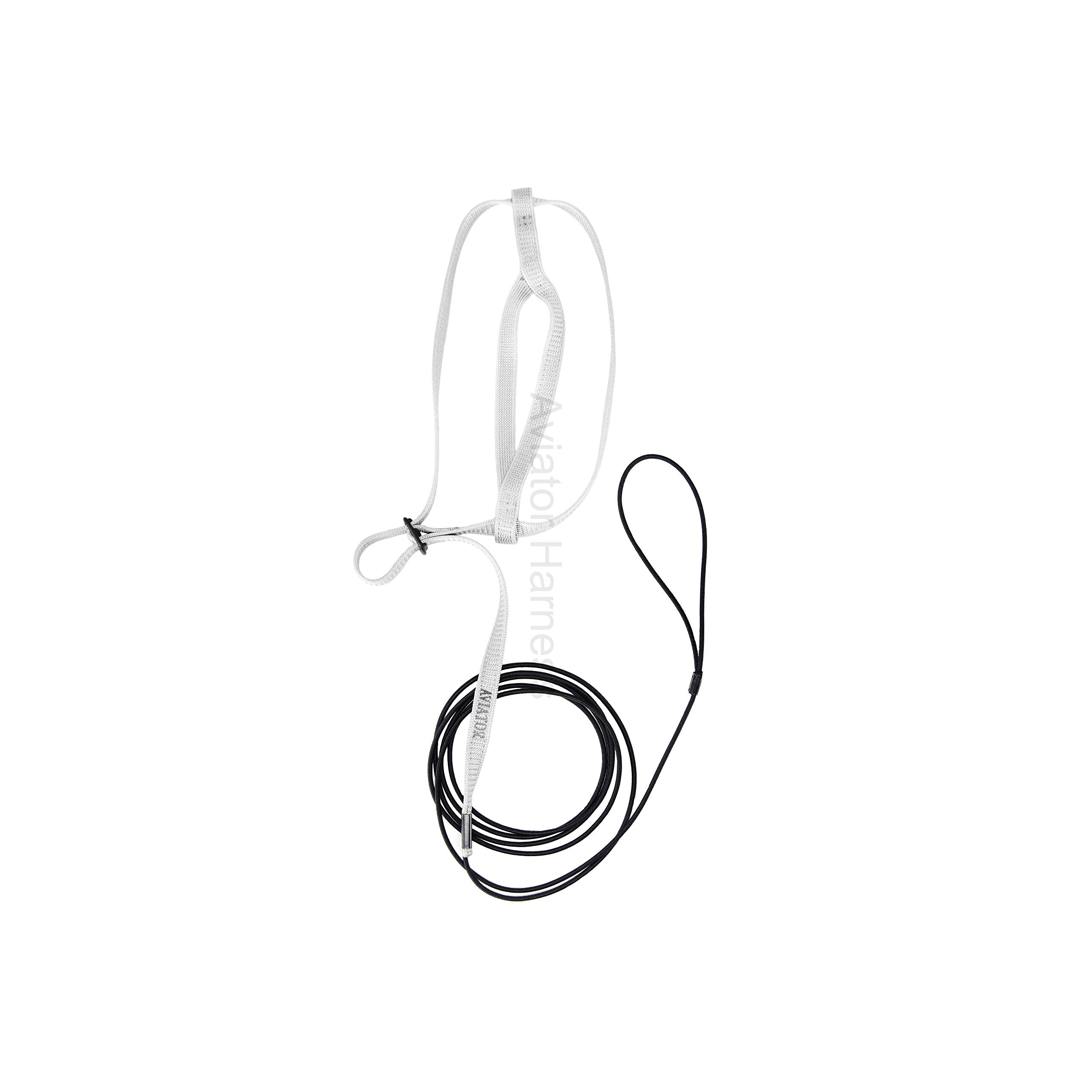 The Aviator Pet Bird Harness And Leash: Medium Silver