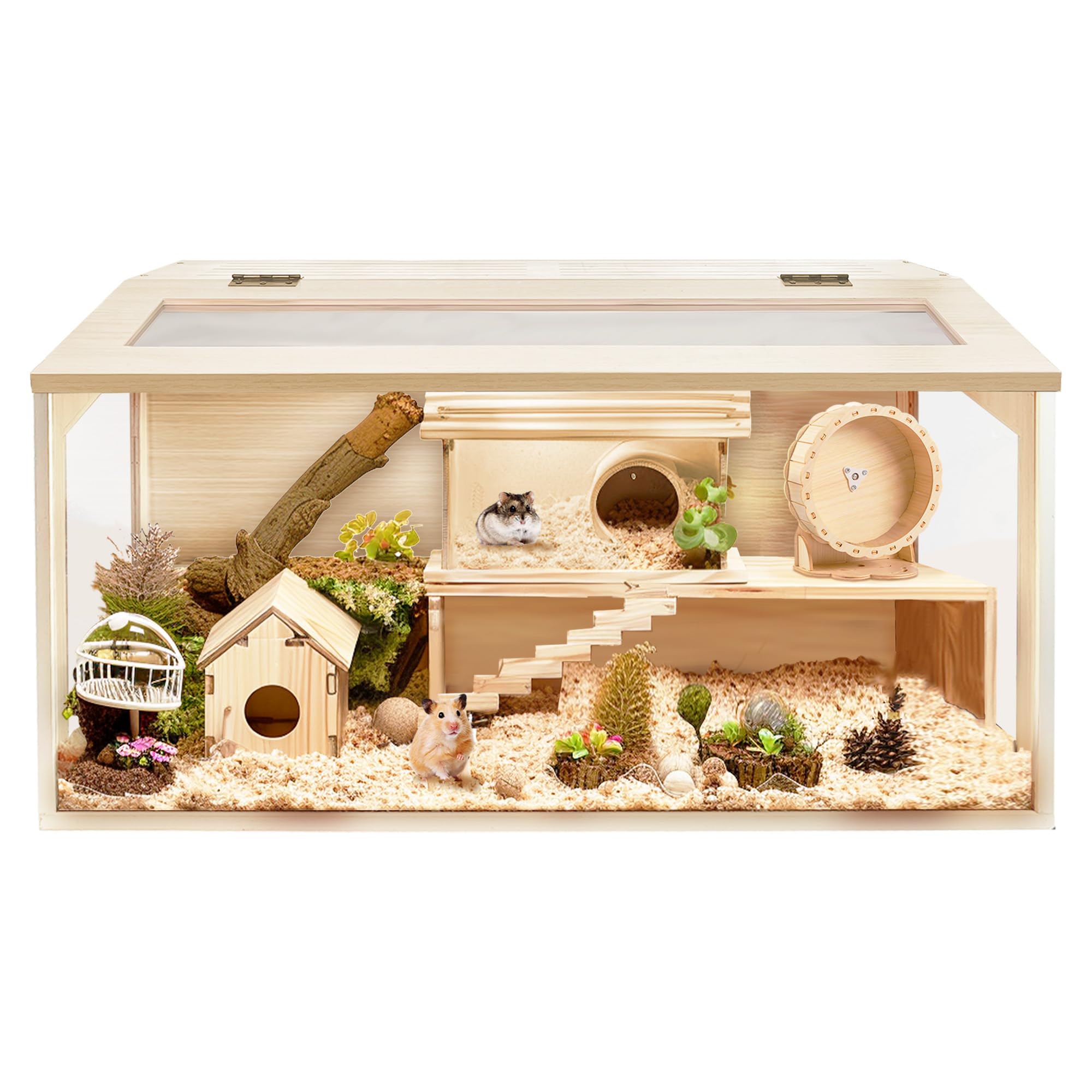 Prolee Hamster Cage Chewproof Wood, Mice And Rat Habitat Openable Top With Acrylic Sheets Solid Built, Small Animal Cage, 40 Inc