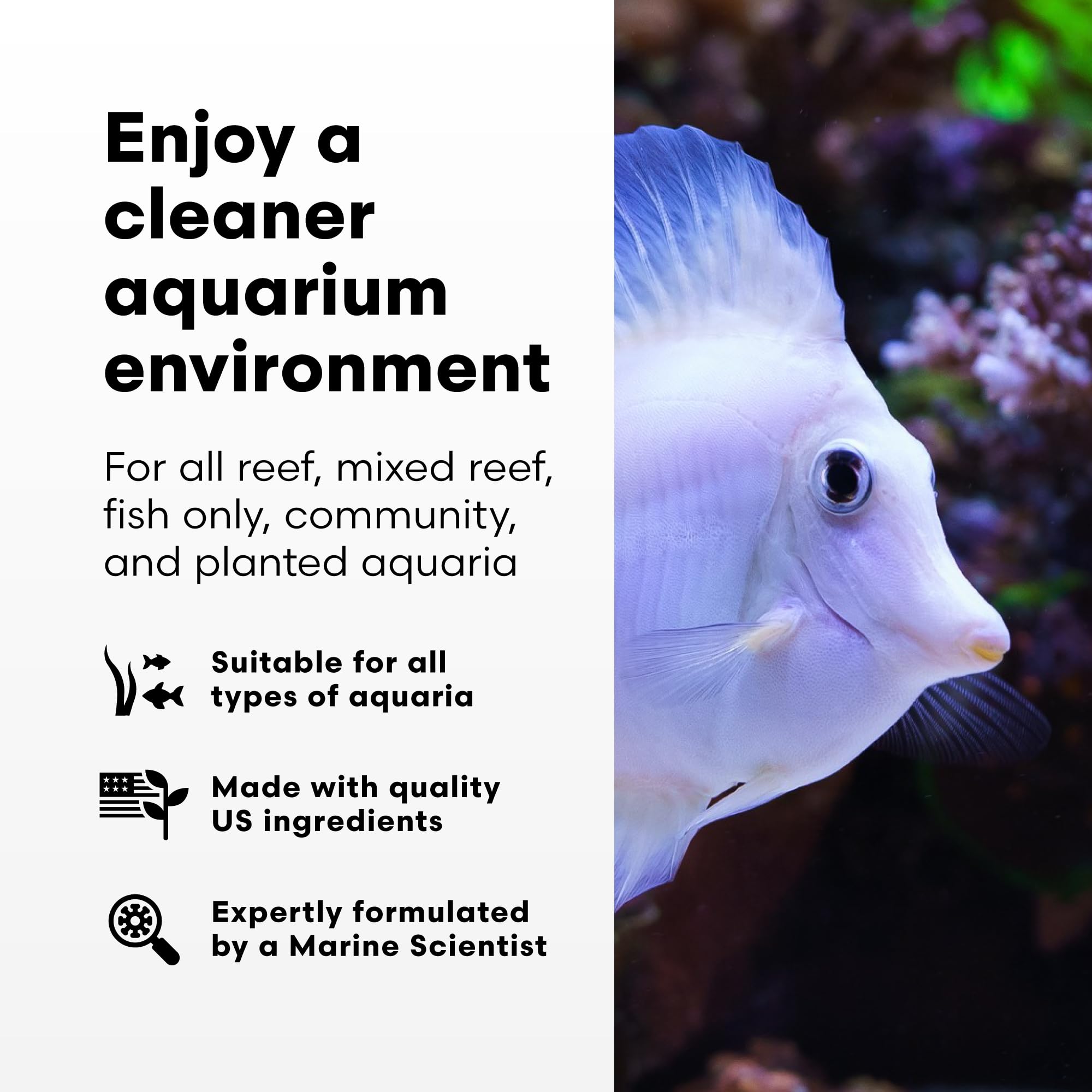 Brightwell Aquatics - Purit Next-Generation Chemical Filtration Media - for use in All Marine and Freshwater Aquaria - Aquarium