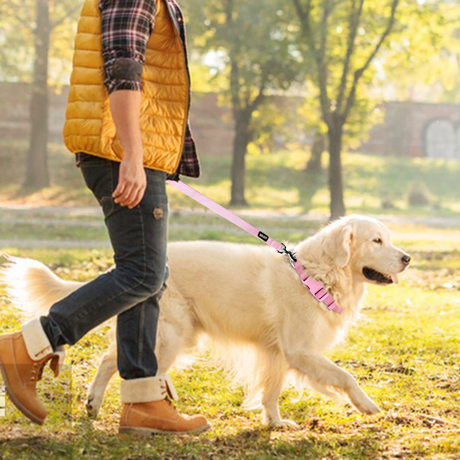 Azuza Nylon Dog Collar And Leash Set, Strong & Durable Basic Style Leash With Easy To Use Collar Hook, Available In Multiple Lengths For Small Dogs, Pink,S