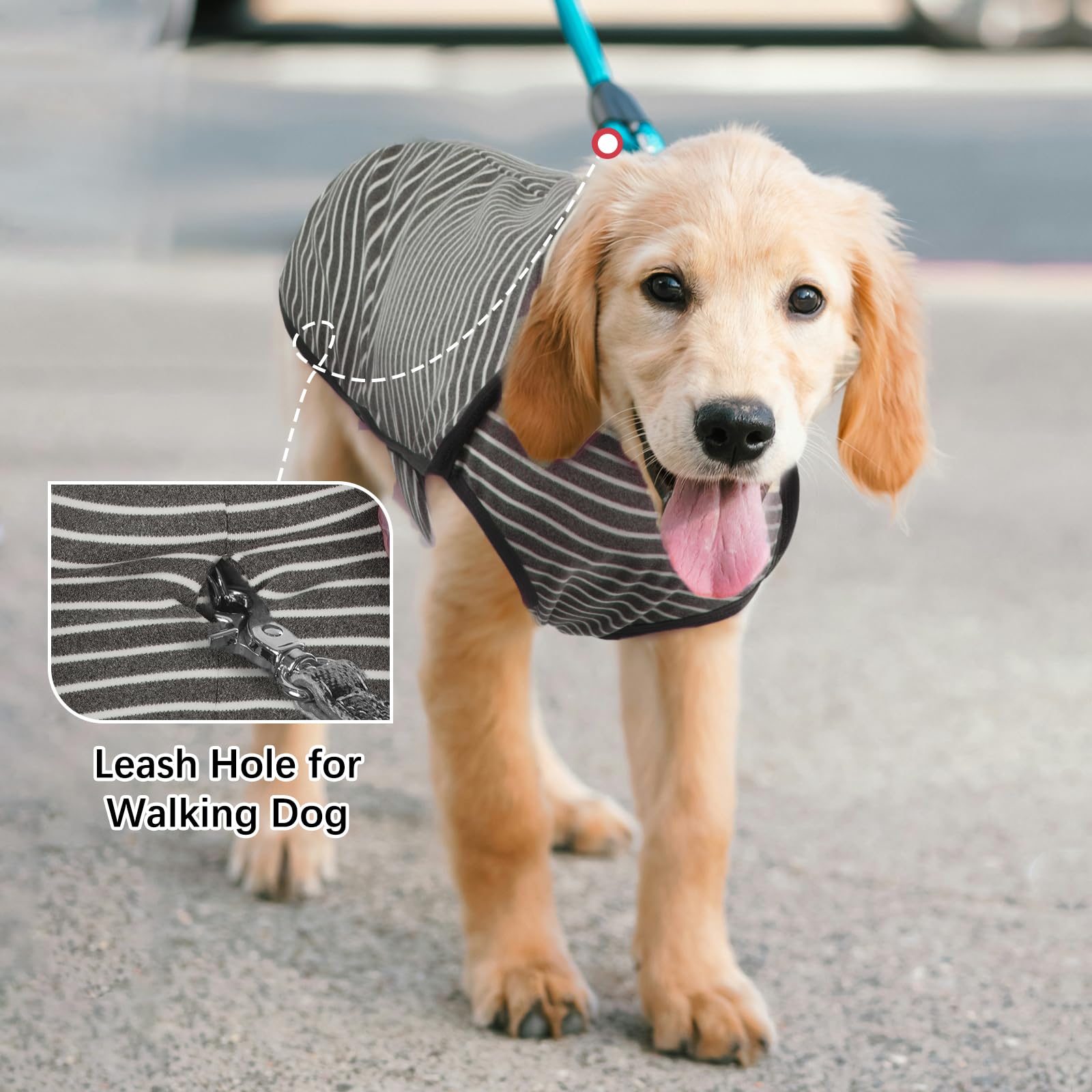 Rozkitch Dog Winter Coat Soft Pullover Pajamas, Pet Windproof Warm Cold Weather Jacket Vest Cozy Jumpsuit Apparel Outfit Clothes