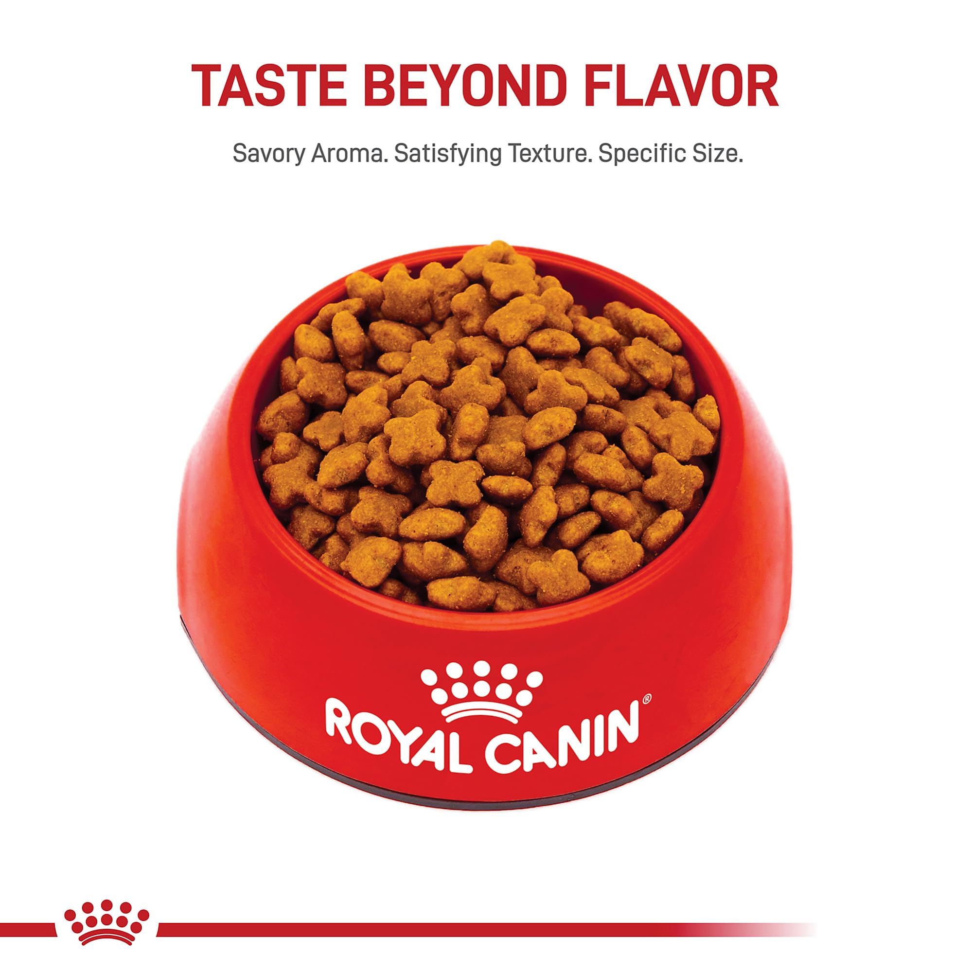 Royal Canin Breed Health Nutrition Jack Russell Terrier Adult Dry Dog Food, 10 lb Bag