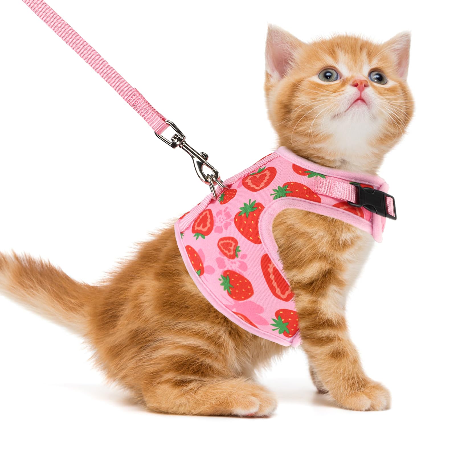 Pupteck Soft Mesh Cat Vest Harness And Leash Set Puppy Padded Pet Harnesses Escape Proof For Cats Small Dogs Rabbits Bunny