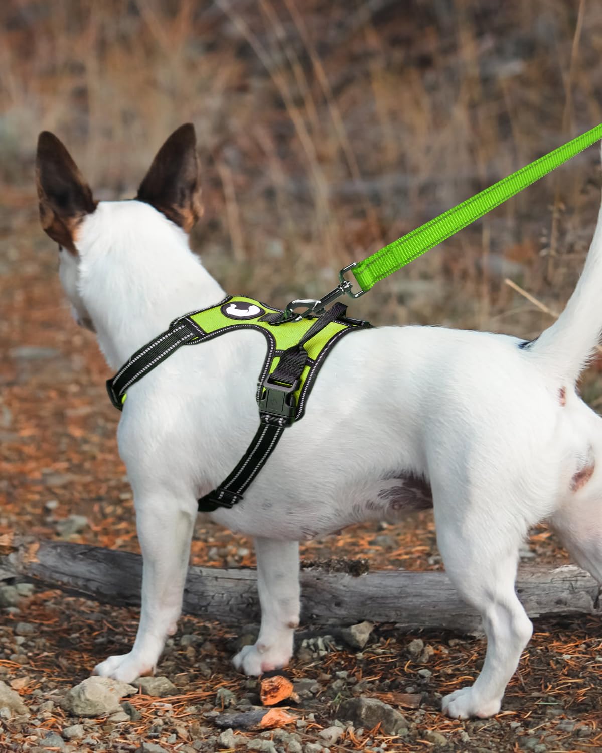 Joytale Double-Sided Reflective Dog Leash, 6 Ft/5 Ft/4 Ft, Padded Handle Nylon Dogs Leashes For Medium & Large Dogs Walking, Green, 6Ft