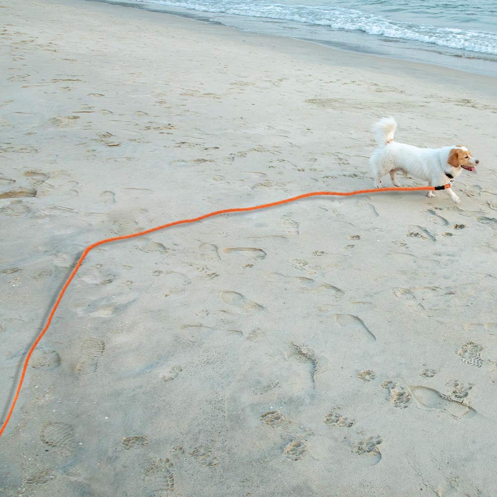Vivifying Long Dog Leash, 32Ft Reflective Dog Training Leash For Outside And Yard, Floating Long Line Lead With Soft Handle For Camping, Hiking, Swimming, Beach And Lake (Orange)