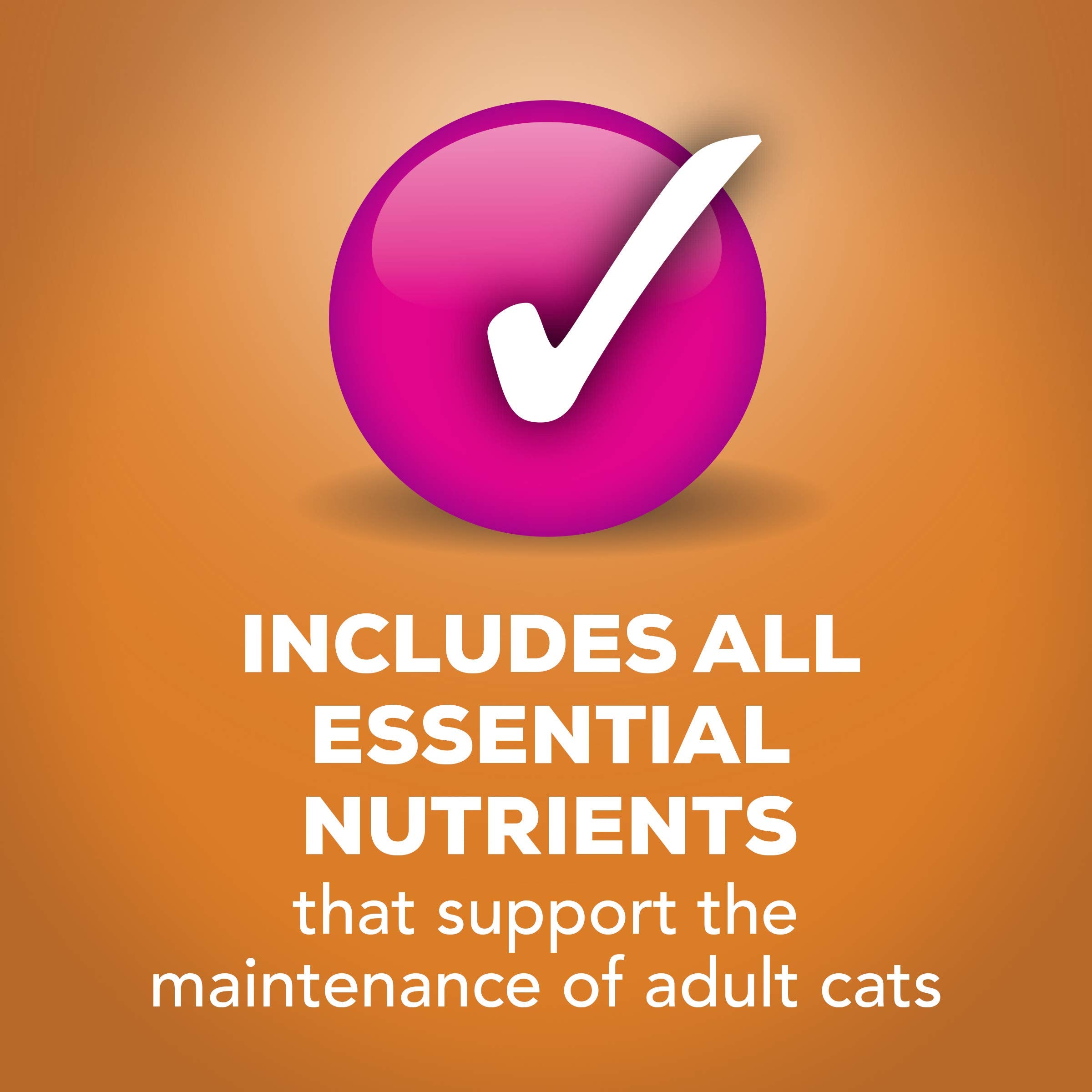 Purina Friskies Gravy Pate, Wet Cat Food Extra Gravy Pate With Chicken in Savory - (Pack of 24) 5.5 oz. Cans
