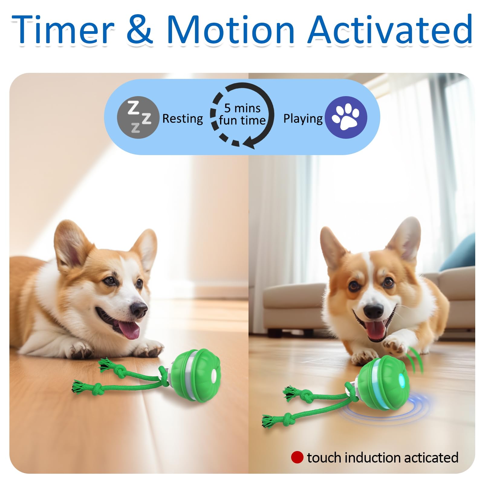 Sofolor Interactive Dog Toy - Motion Activated Rolling Ball, Squeaky, Green, Model P38 for Small Dogs/Puppies