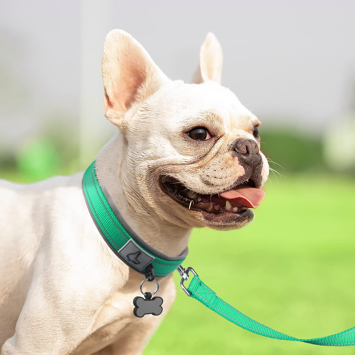 Joytale Dog Collar For Small Dogs, Neoprene Padded And Adjustable, Reflective Wide Heavy Duty Pet Collars With Durable Metal Bel