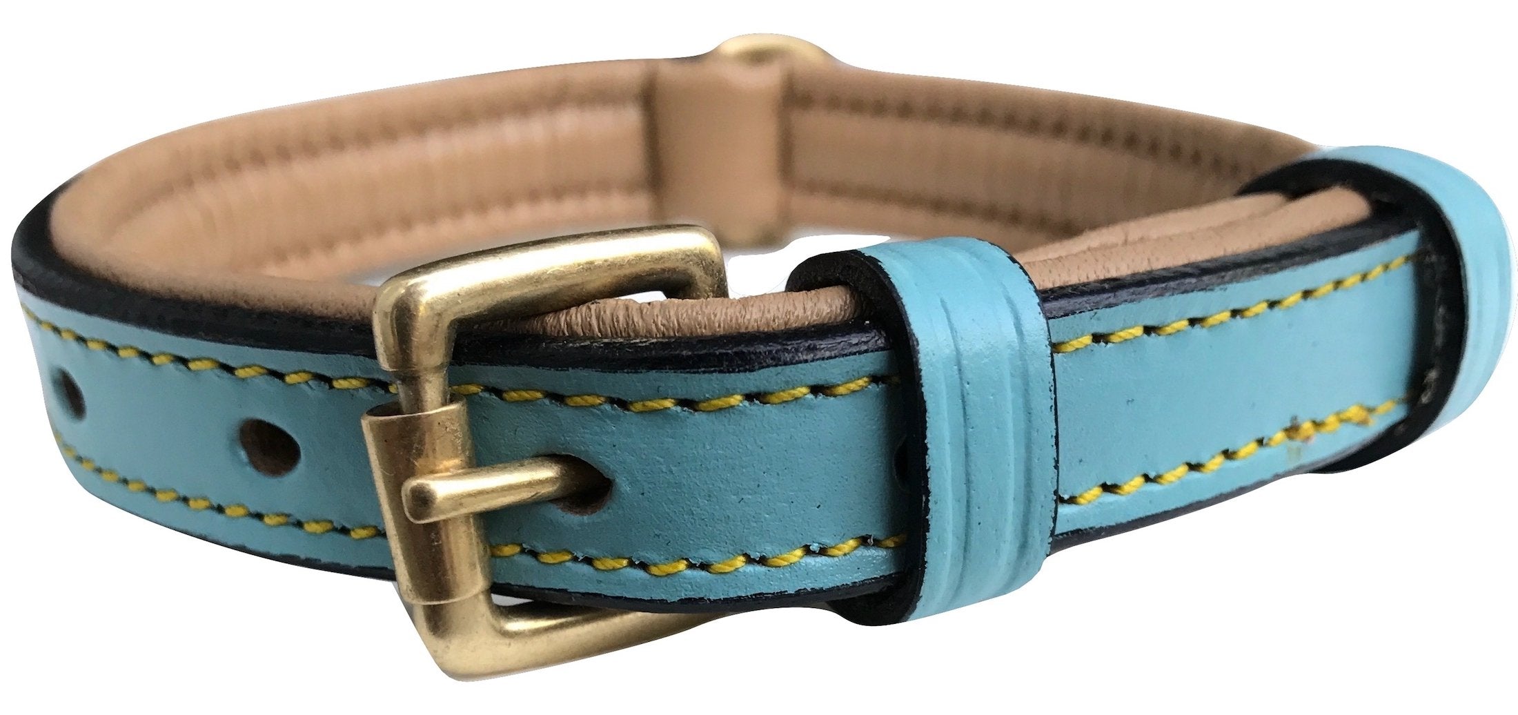Soft Touch Collars Small Leather Padded Dog Collar, Turquoise with Beige Padding,16 Long x 5/8 Wide, Neck Size 11 to 13.5