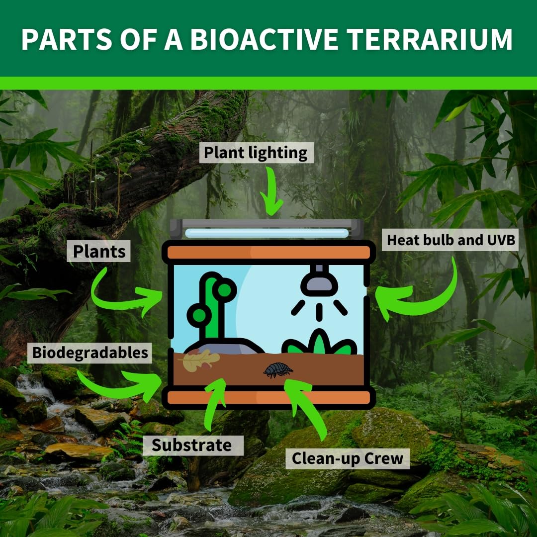 The Bio Dude Terra Firma Reptile Substrate 36 Quarts For Terrariums And Vivariums. Bioactive Habitat Substrate For Ball Pythons,