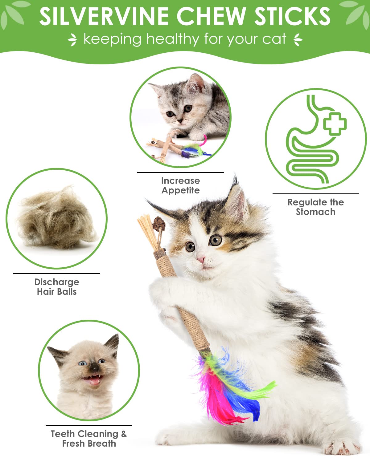TINDTOP Silvervine Sticks for Cats with Natural Feather, Catnip Chew Toys for Kittens Teeth Cleaning, Matatabi Dental Care, Calm