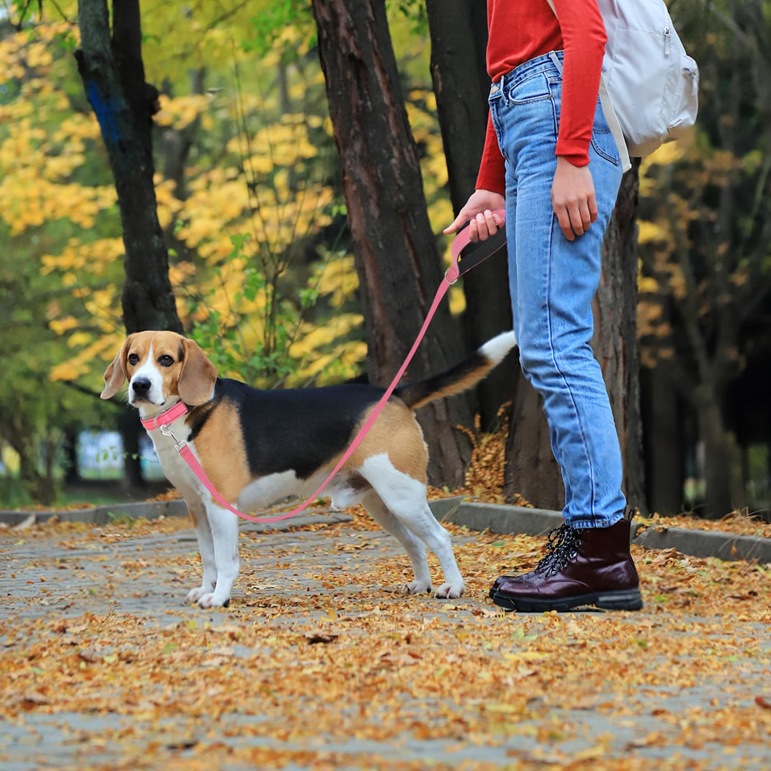 Usunyvora Reflective Nylon Dog Leash For Walking,Strong Dog Leash With Padded Handle For Medium And Large Dogs,5 Ft,Hot Pink
