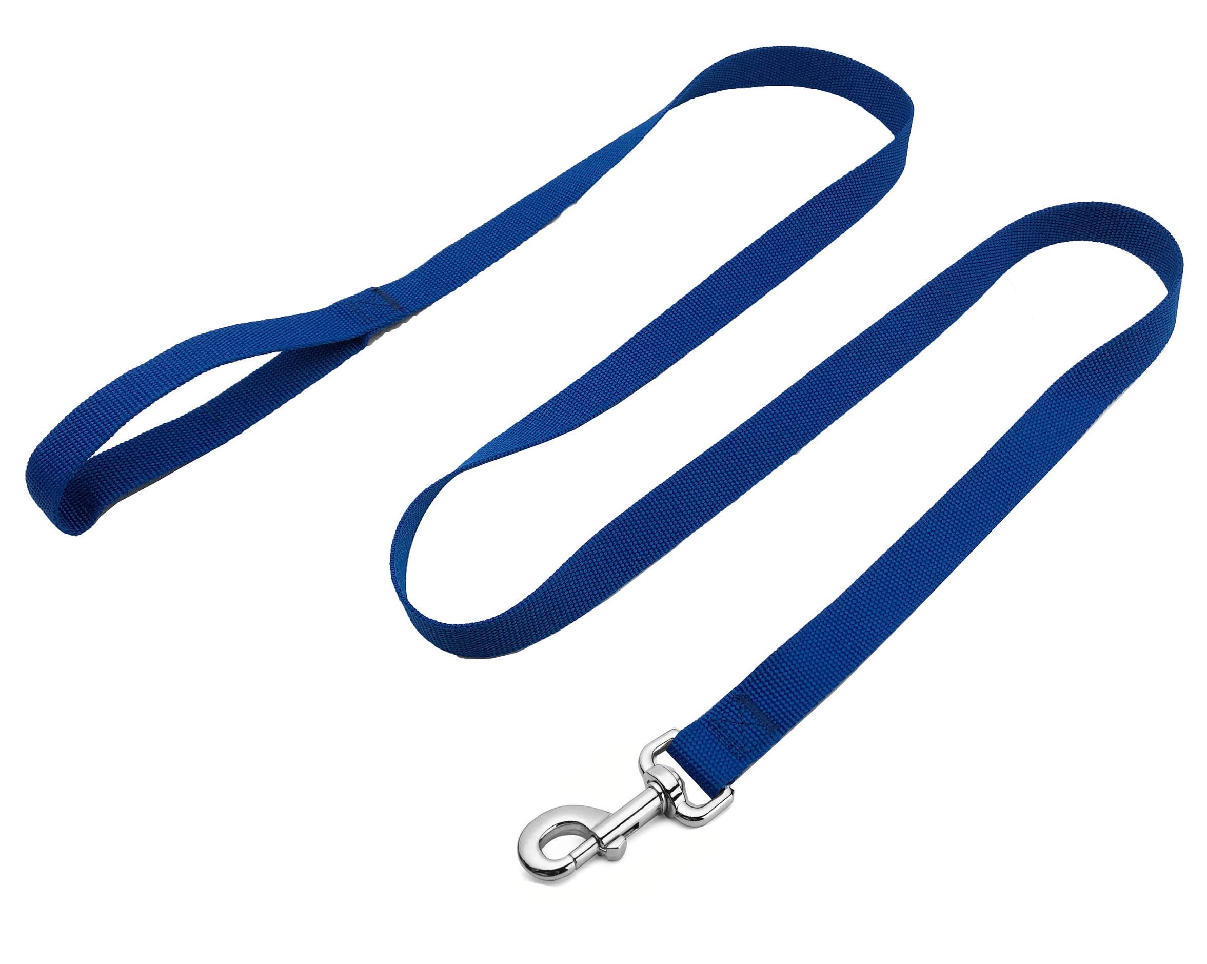 Strong Nylon Dog Leash, 4FT/ 5 FT/ 6FT Dog Leashes for Medium Large Dogs (6 FT, Blue)