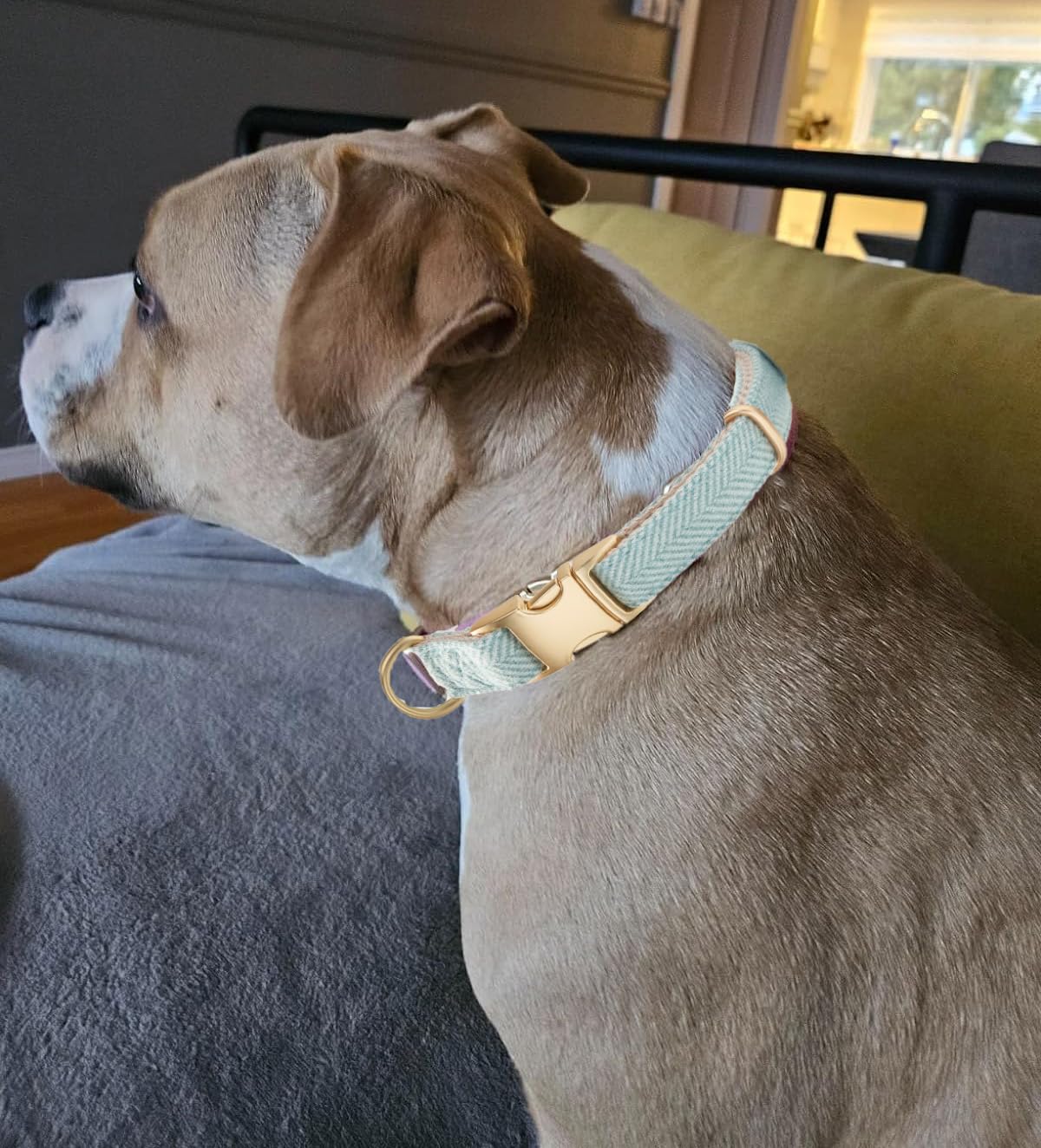YUDOTE Soft Cotton Hemp Dog Collar with Metal Buckle Adjustable Twilled Dog Collars for Small Medium Large Dogs(Blue,Medium)