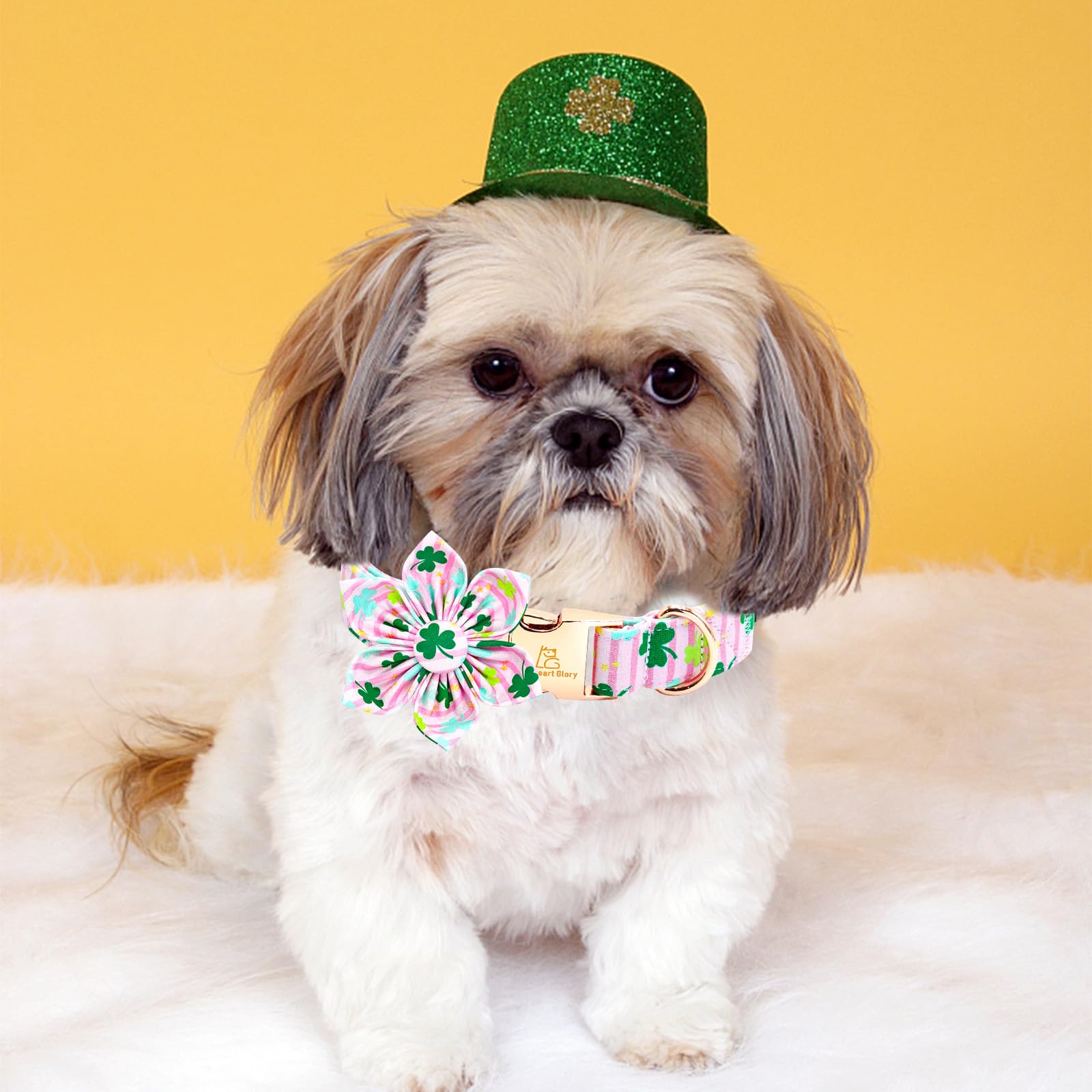 Lionheart Glory St. Patrick'S Day Collar With Flower-Lucky Clover Shamrock Bow For Small Dogs - Pink Spring Trefoil Adjustable H