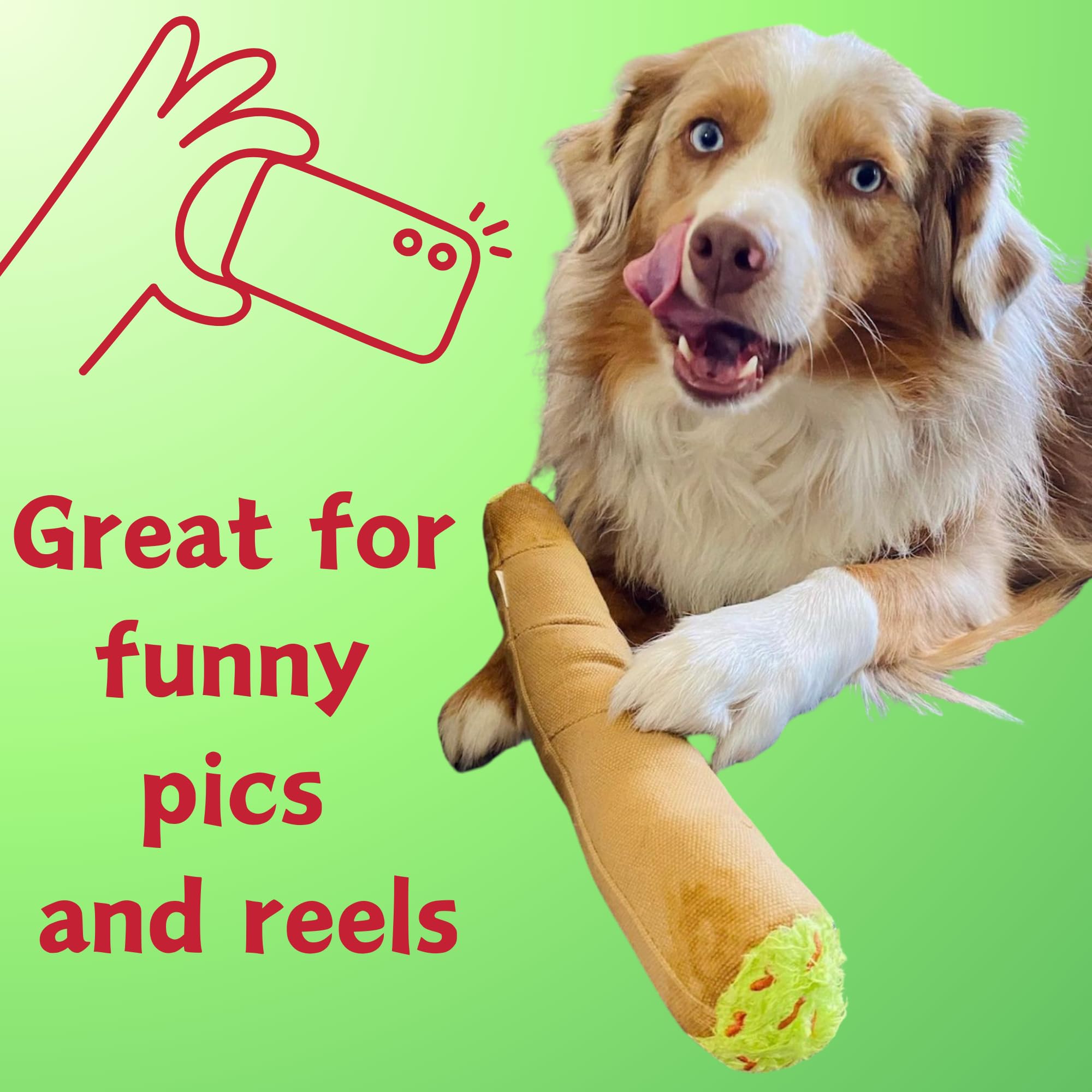 My Name Is B, Cute Stuffed Parody Blunt Dog Toy, Funny Squeaky Weed Toy, Cool Plush Novelty 420 Gift For Pets & Their Owners, Sized For Puppies & Small, Medium & Large Breeds, For Fetch & A Photo Prop