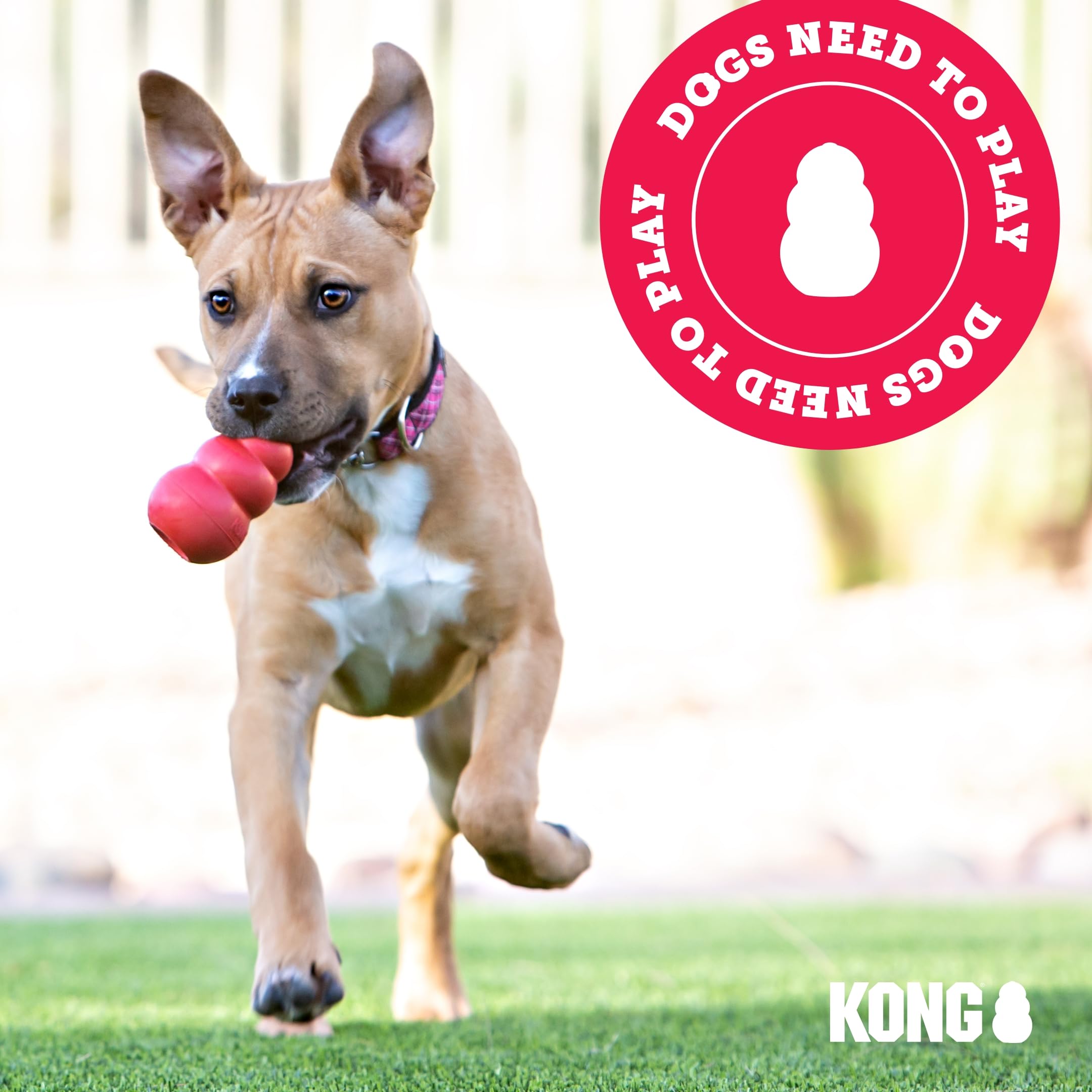 Kong - Bounzer - Medium