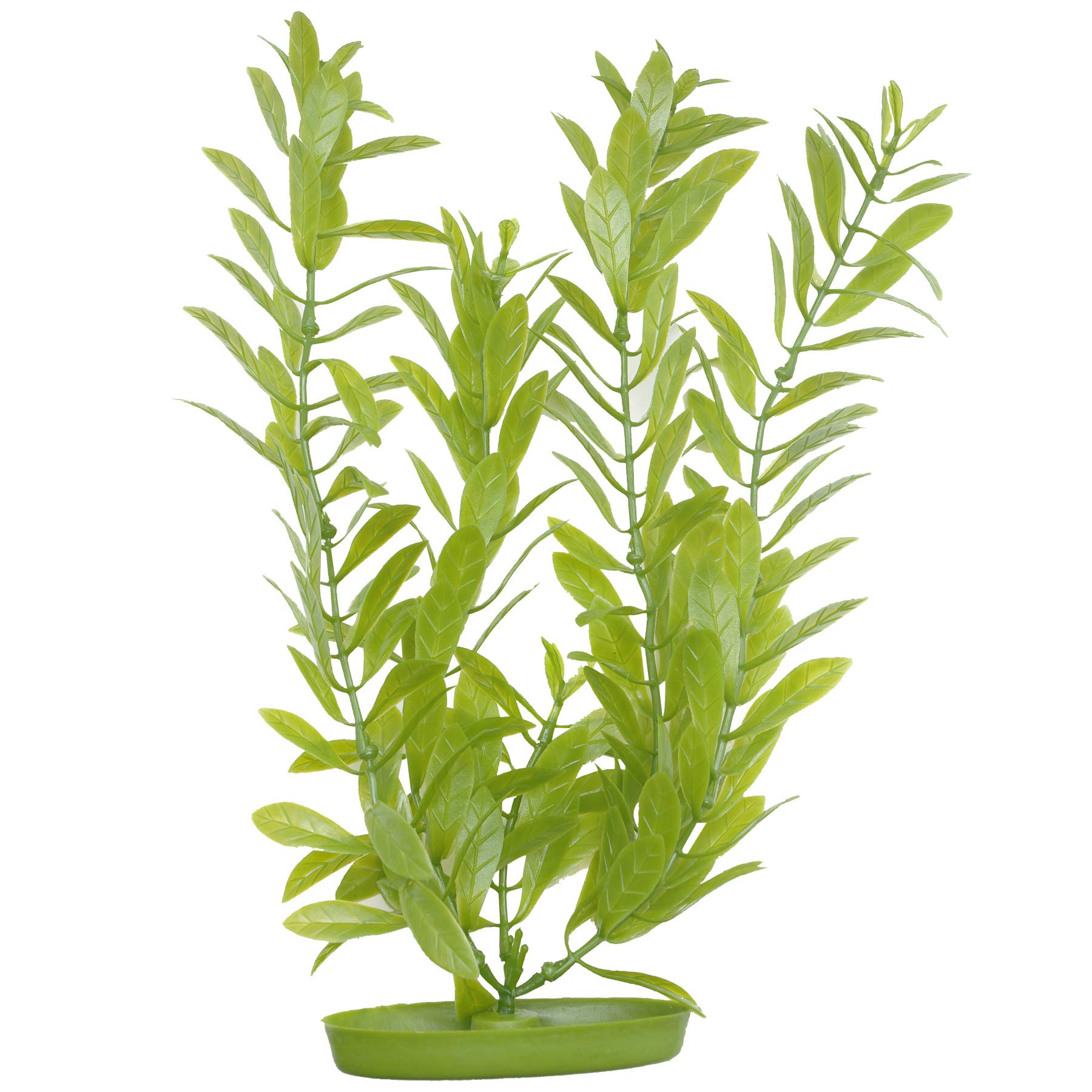 Marina Aquascaper Hygrophilia, 8-Inch, Medium