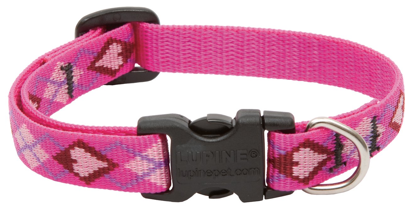 LupinePet Originals 1/2 Puppy Love 10-16 Adjustable Collar for Small Dogs