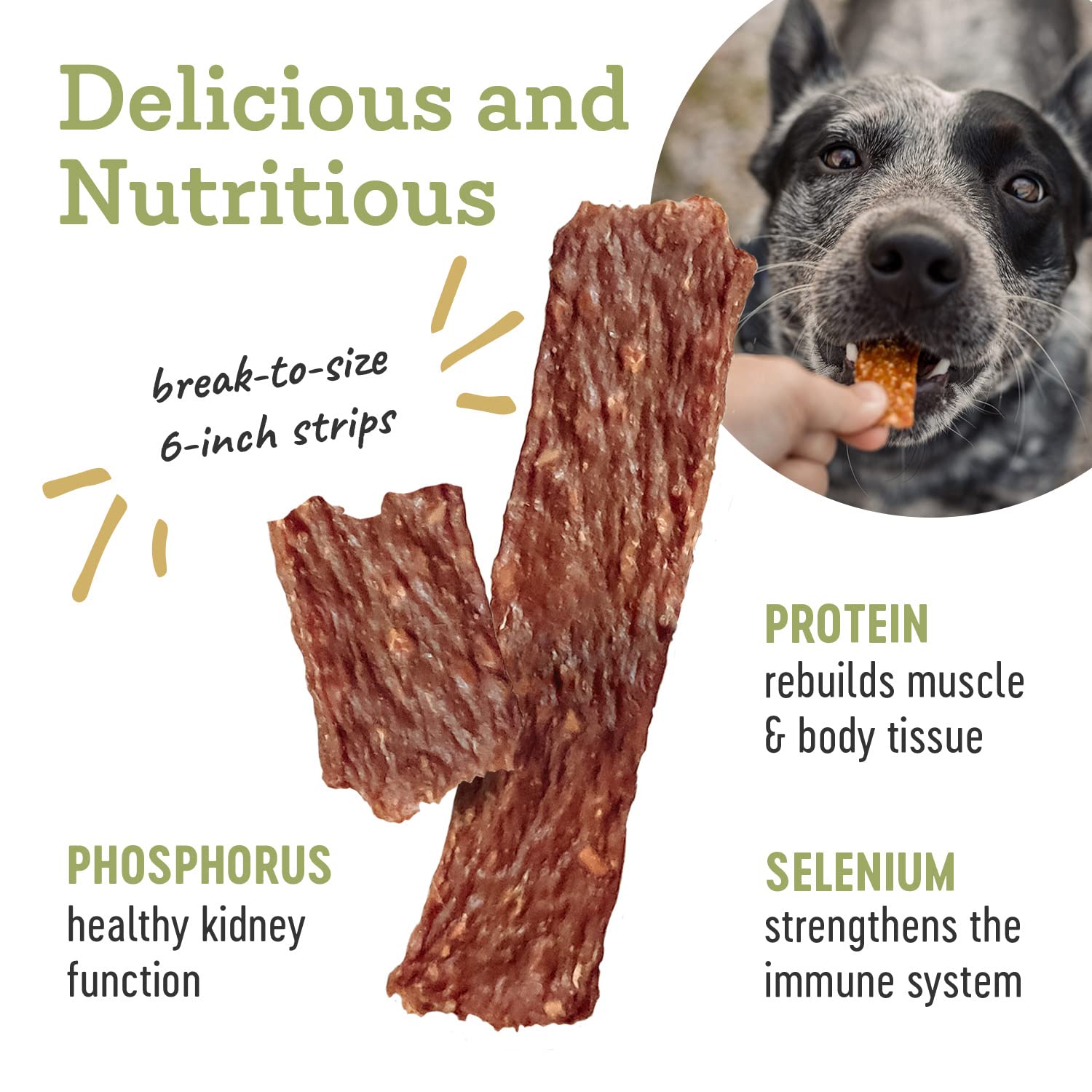 Farm Hounds - Duck Strips - Premium Natural Jerky for Dogs - Made from 100% Humanely Raised Duck - Break-to-Size - Great for Tra