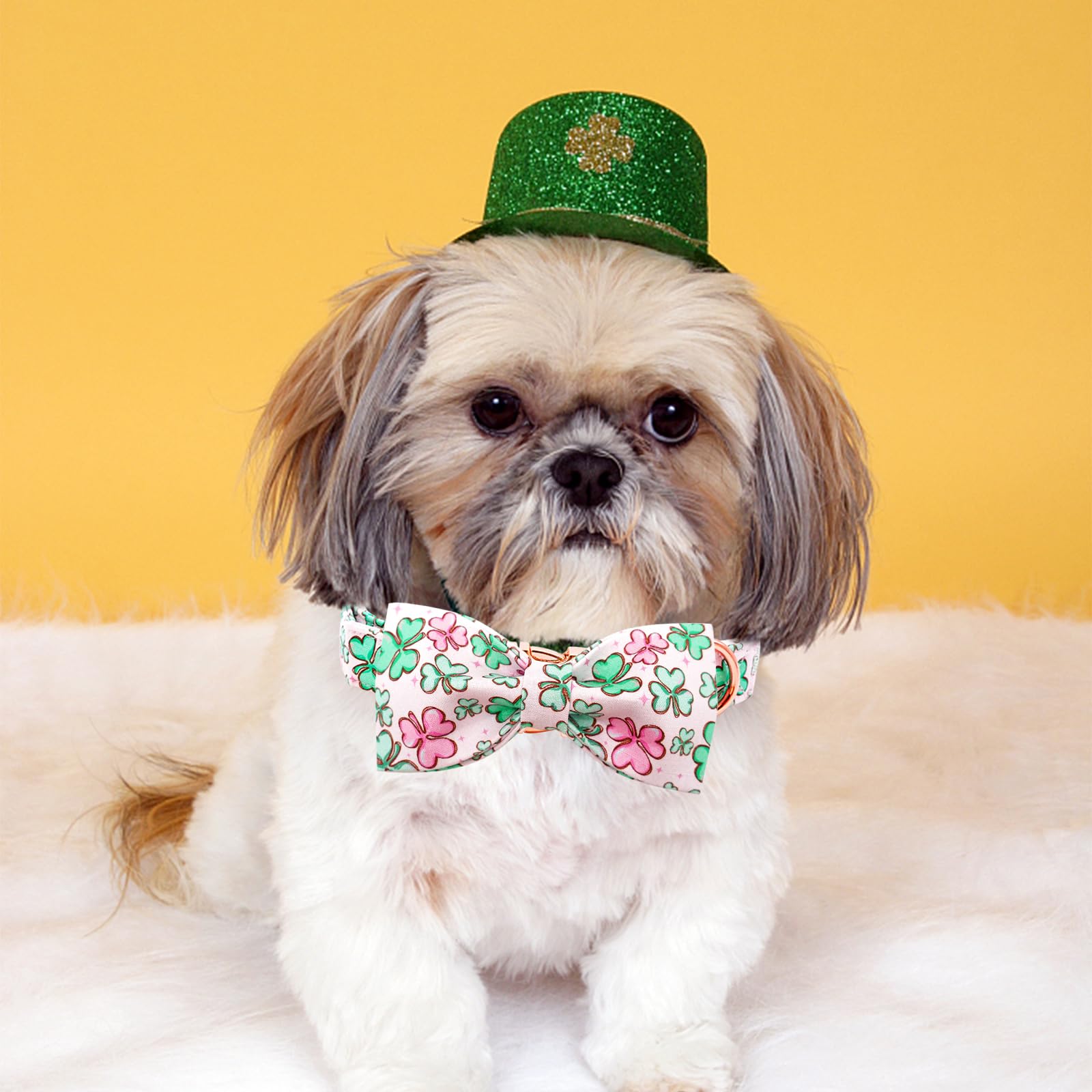 Lionheart Glory Dog Bow Collar St. Patrick'S Day Dog Collar For Small Dogs, Adjustable Green Collars Lucky Clover Shamrock Dog C