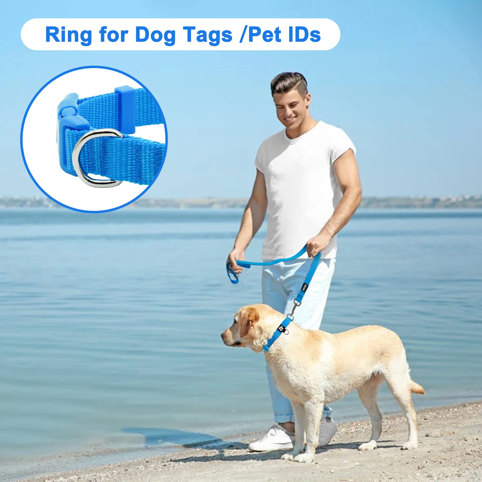 Azuza 3 Pack Dog Collars Comfortable And Adjustable Nylon Dog Collars For Puppy Small Dogs, Xs (8-12Inch),Green, Blue And Royal