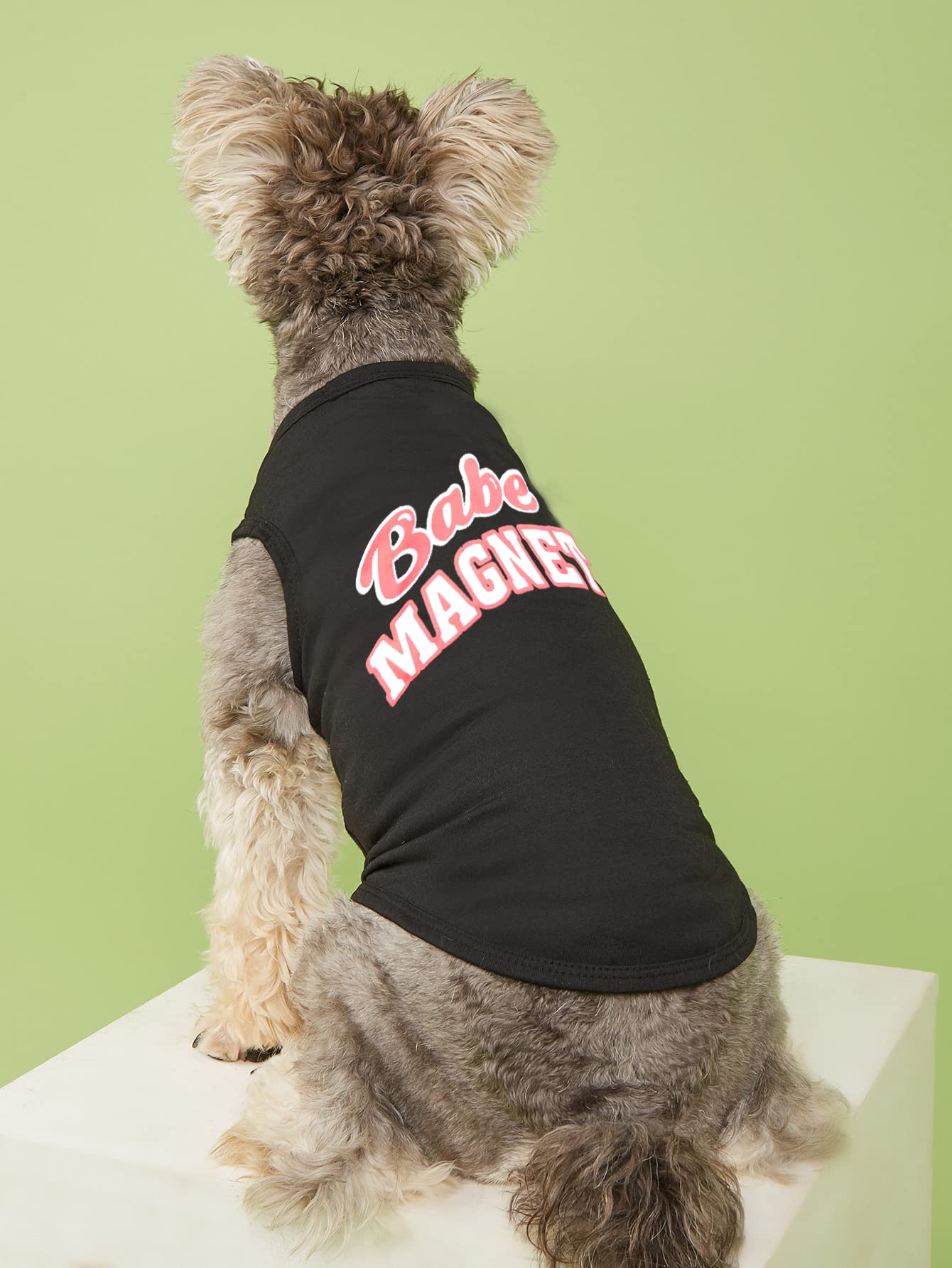 Puppy Dog Shirt Dog Summer Clothes Pet Dogs Shirts Xs Dog T Shirt Yorkie Clothes Chihuahua Clothes, Large, Black