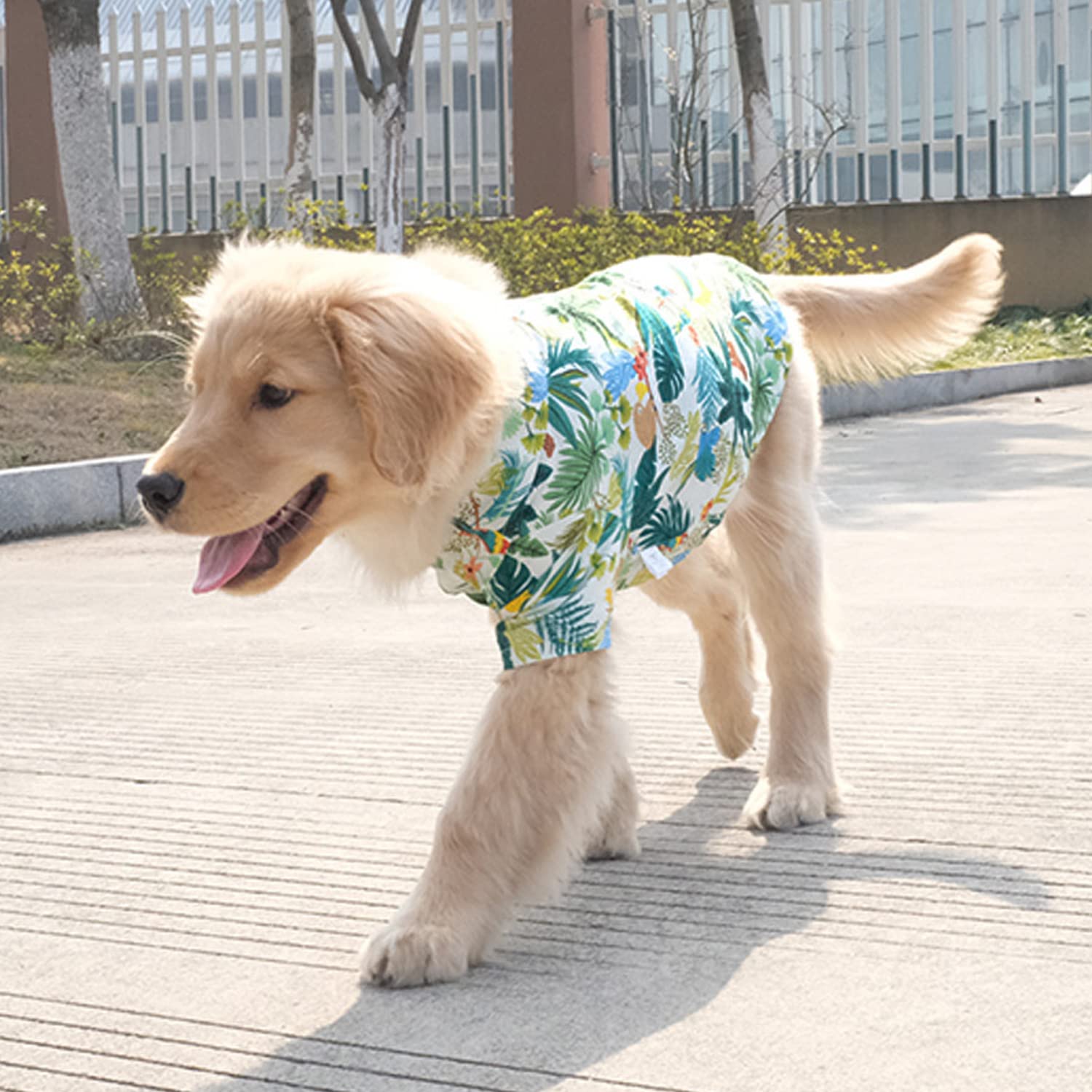 Harikaji Dog Hawaiian Shirt, Summer Pet Clothes Large Dog Cool Costume Beach T-Shirt For Medium Large Dog(White,4Xl)