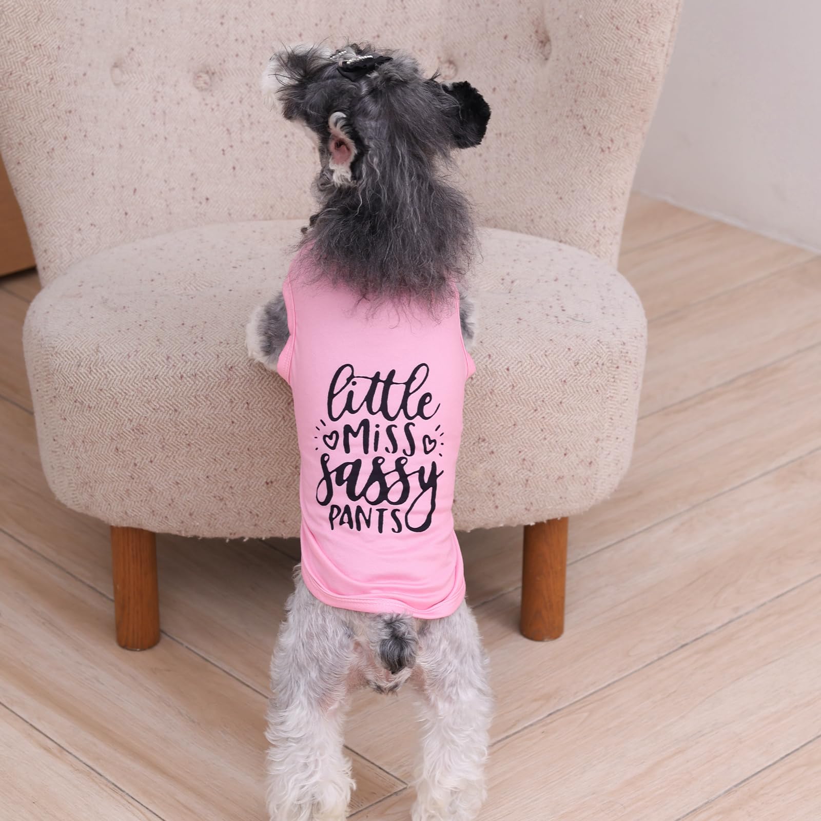 Cutebone Soft Dog Shirt Pink Lightweight Small Puppy T-Shirts Pet Clothes Breathable Tee Vest Stretchy Outfit Cat Apparel Bx01M-