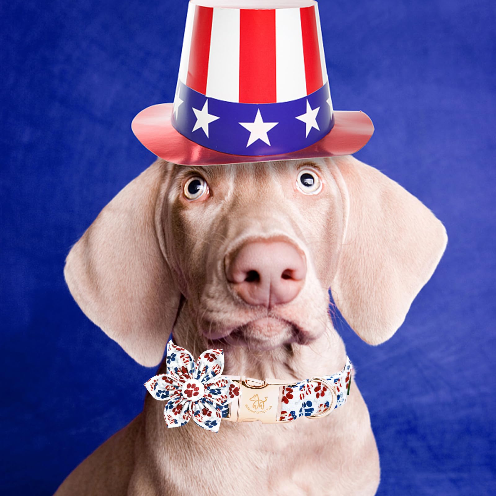 Independence Dog Collar, Patriotic Pet Collar With Flower American 4Th Of July Holiday Pet Gift Cotton Soft Flower Dog Boy Girl