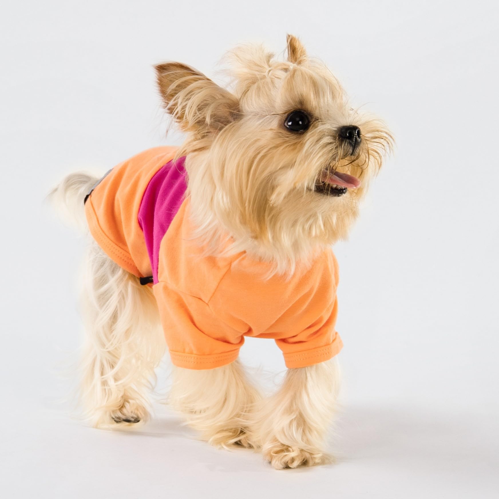 Fitwarm 3 Pack Color Block Striped Dog Shirt, Summer Dog Clothes for Small Dogs, Breathable Lightweight Dog Tshirt, Pet Outfit,
