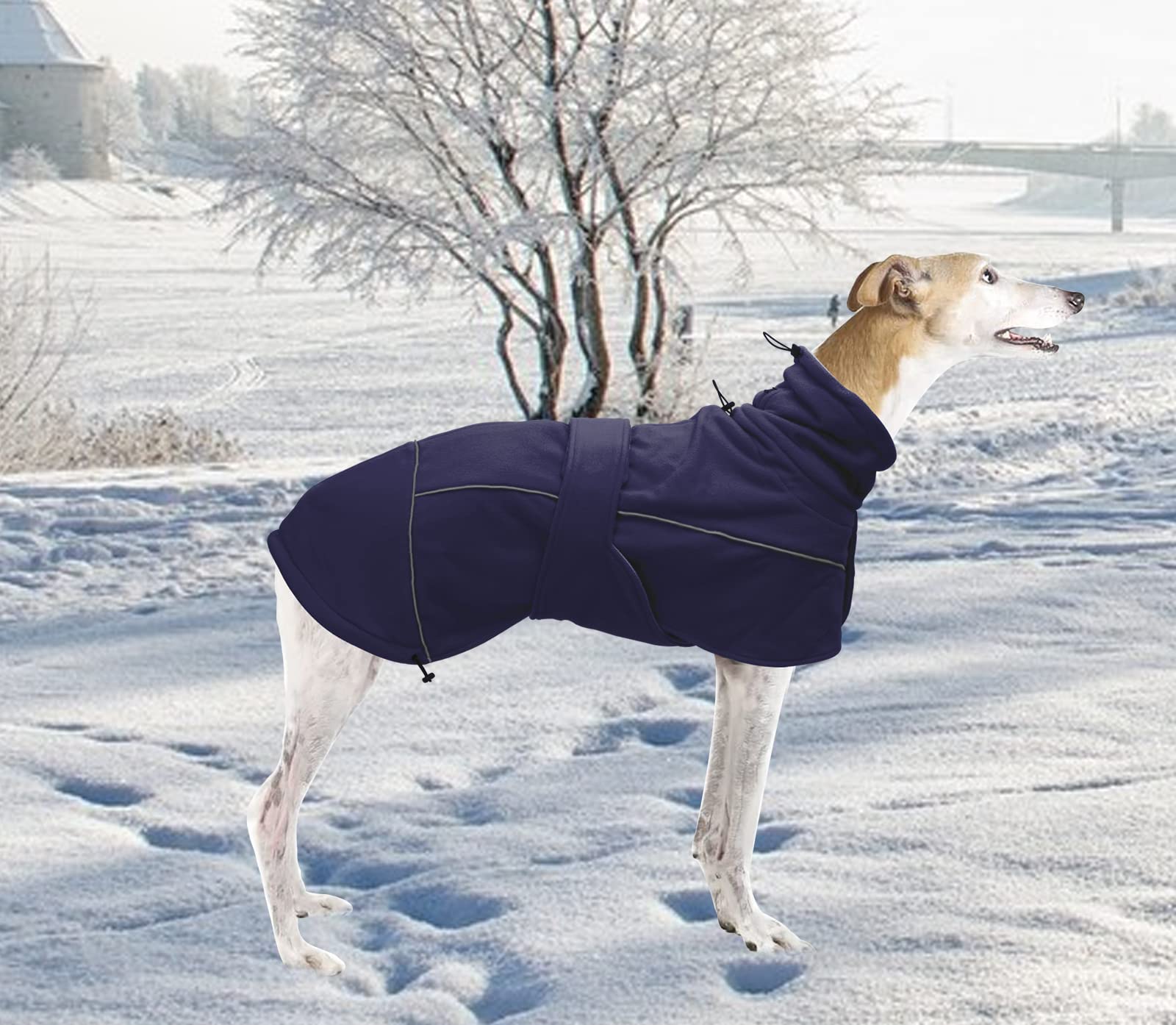 Greyhound Lurcher Winter Coat, Whippet Warm Coat With Fleece, Water Resistant Dog Jacket With Adjustable Bands And Zipper Harness Hole - Red - Large